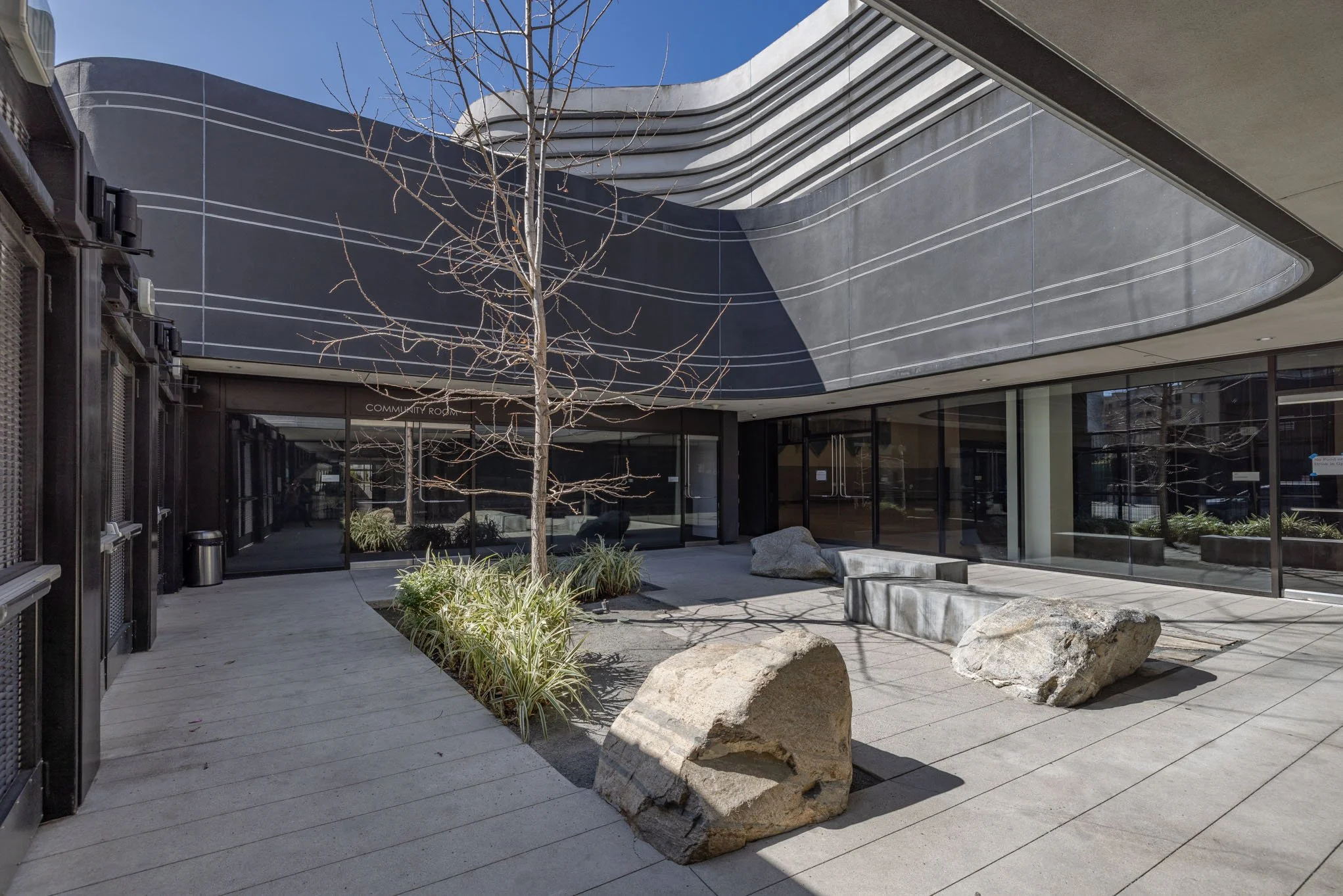 Modern building entrance with large rocks, leafless trees, and glass walls.