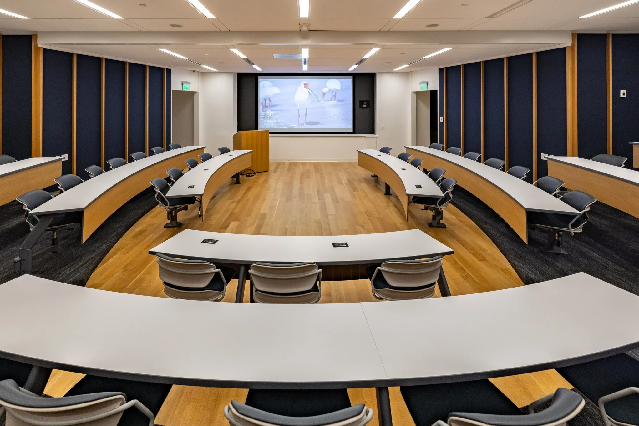 Empty modern conference room with tiered curved desks, office chairs, and a large screen displaying a projected image of two white birds, likely egrets, on a beach.