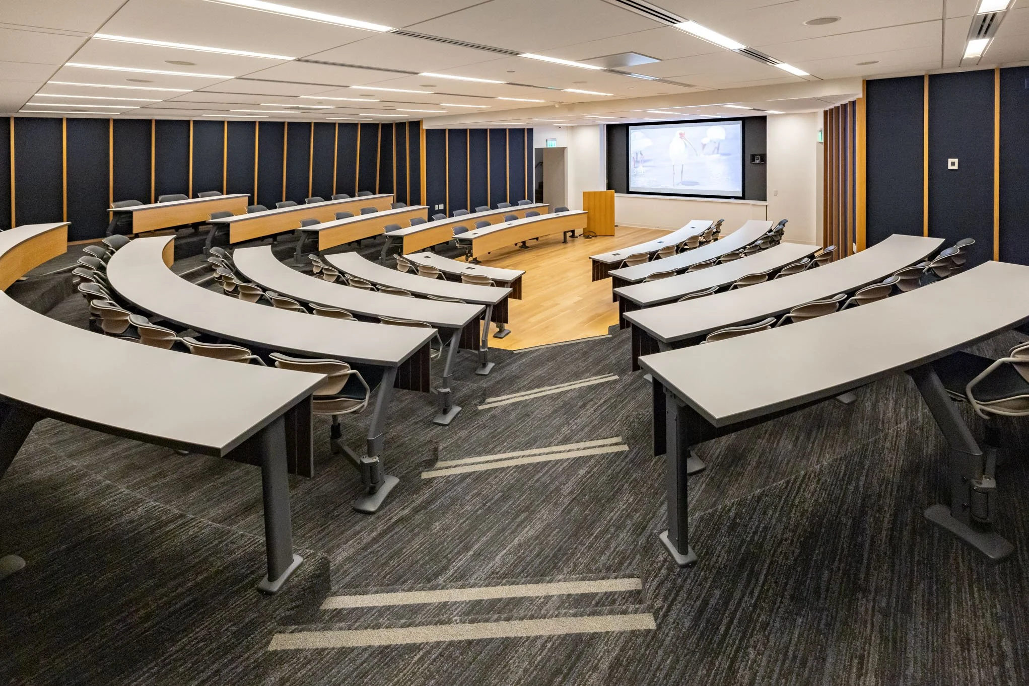 Empty modern classroom or lecture hall with tiered seating, white desks, beige chairs, a large screen at the front, and dark blue walls with wood paneling.