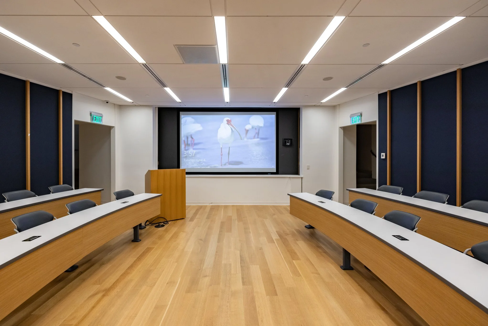 Empty modern classroom or conference room with wooden floors, U-shaped desks with chairs, a large screen displaying bird images, and two exit signs.