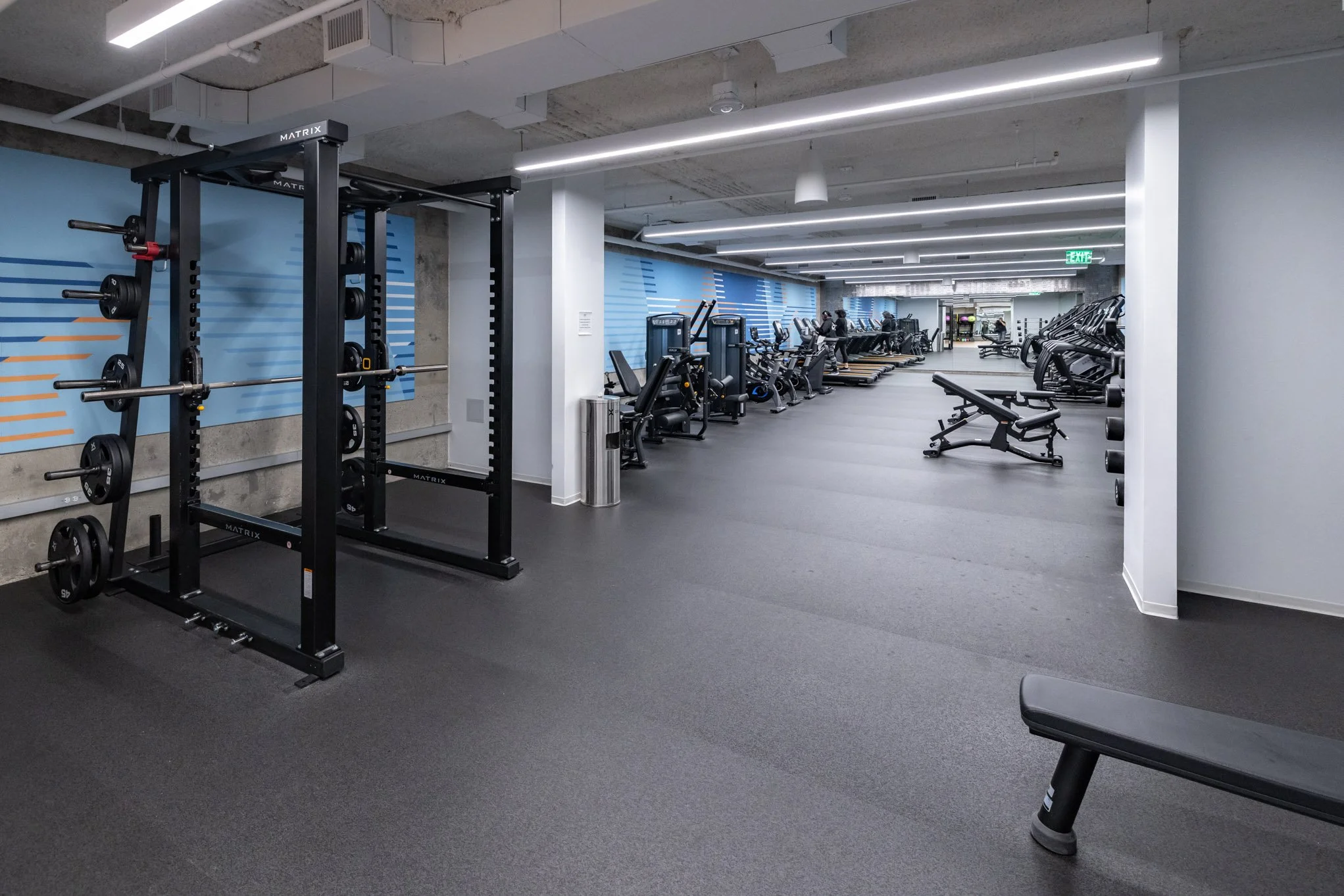 Empty gym with weightlifting equipment, treadmills, and benches in modern fitness center.