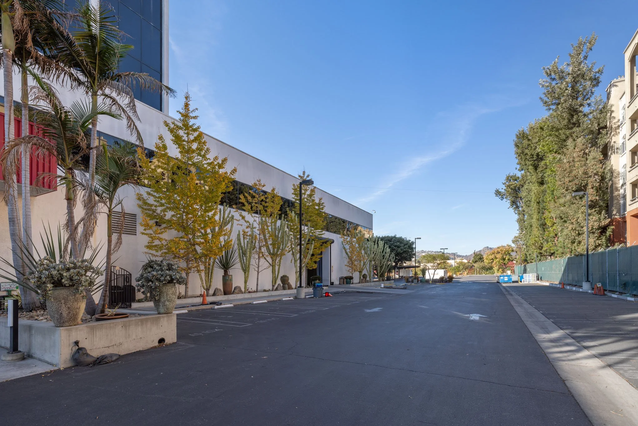 Empty parking lot next to a modern building with desert plants and trees, under a blue sky.