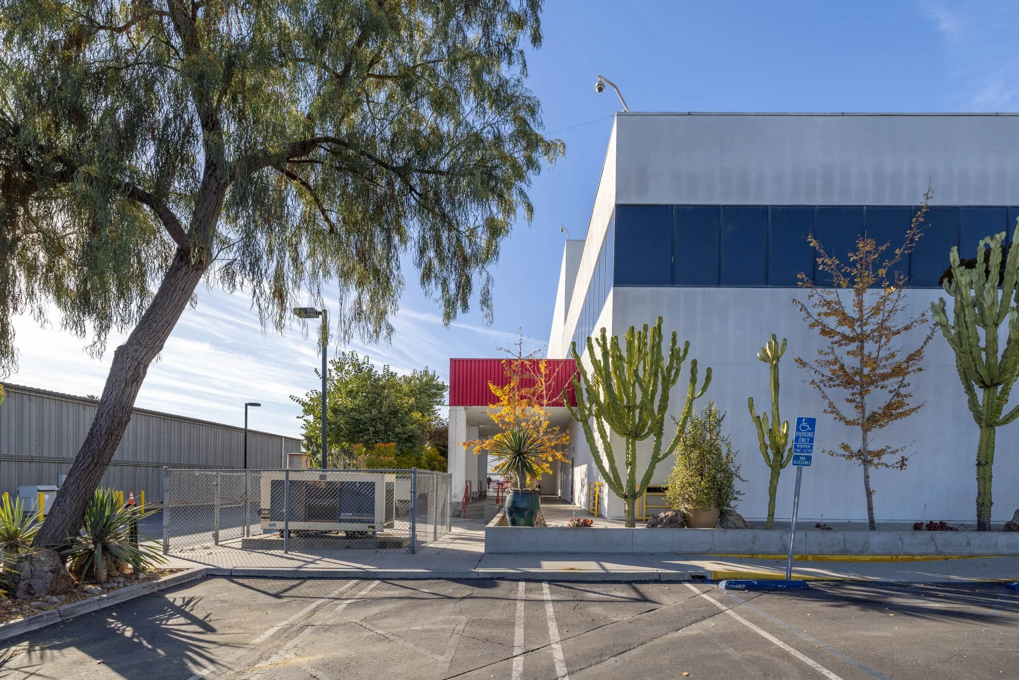 Parking lot with a building, cacti, desert plants, and a large tree, under a clear blue sky.