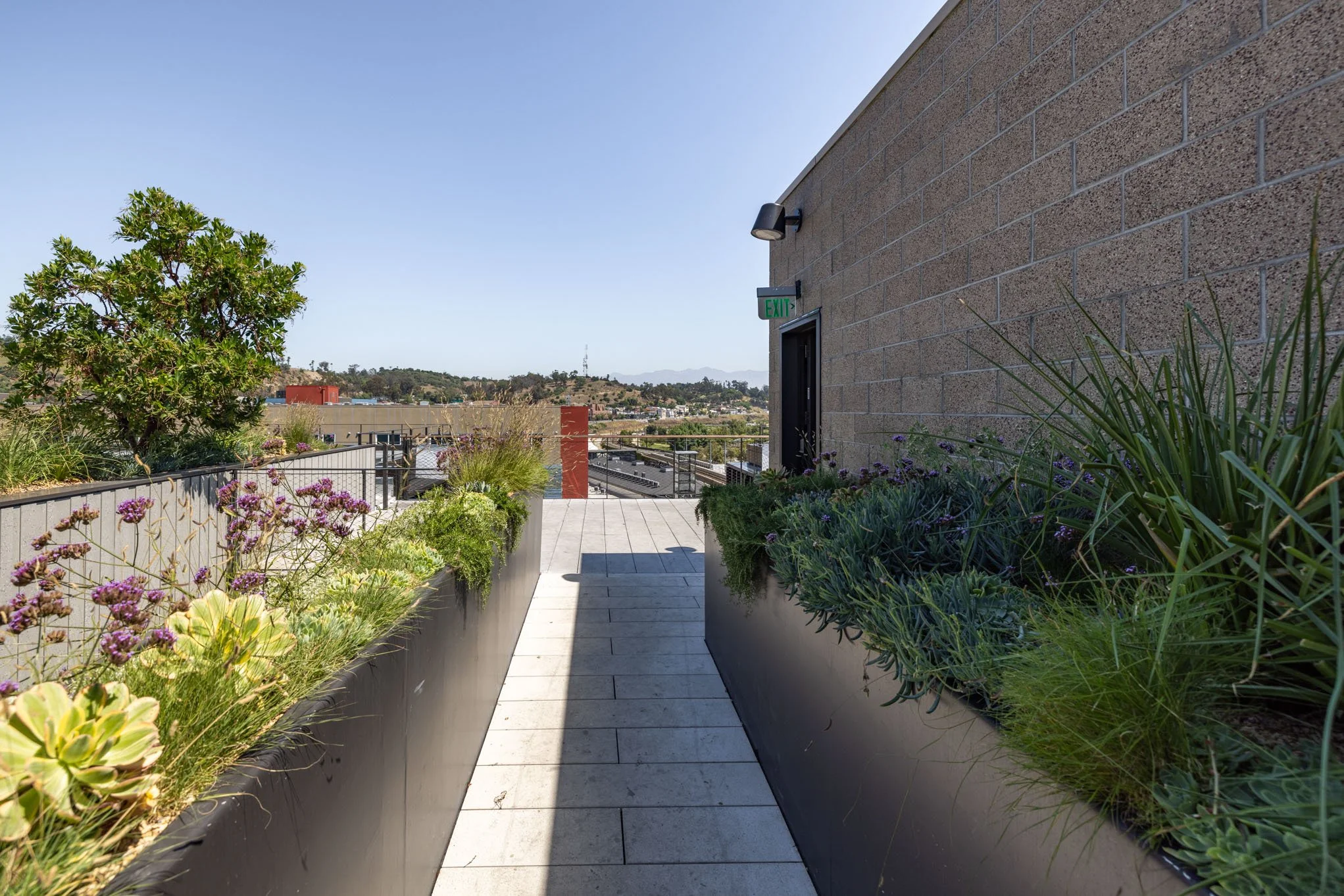 Rooftop outdoor walkway with potted plants and a city view in the distance, near a building with an exit door and an illuminated green exit sign.