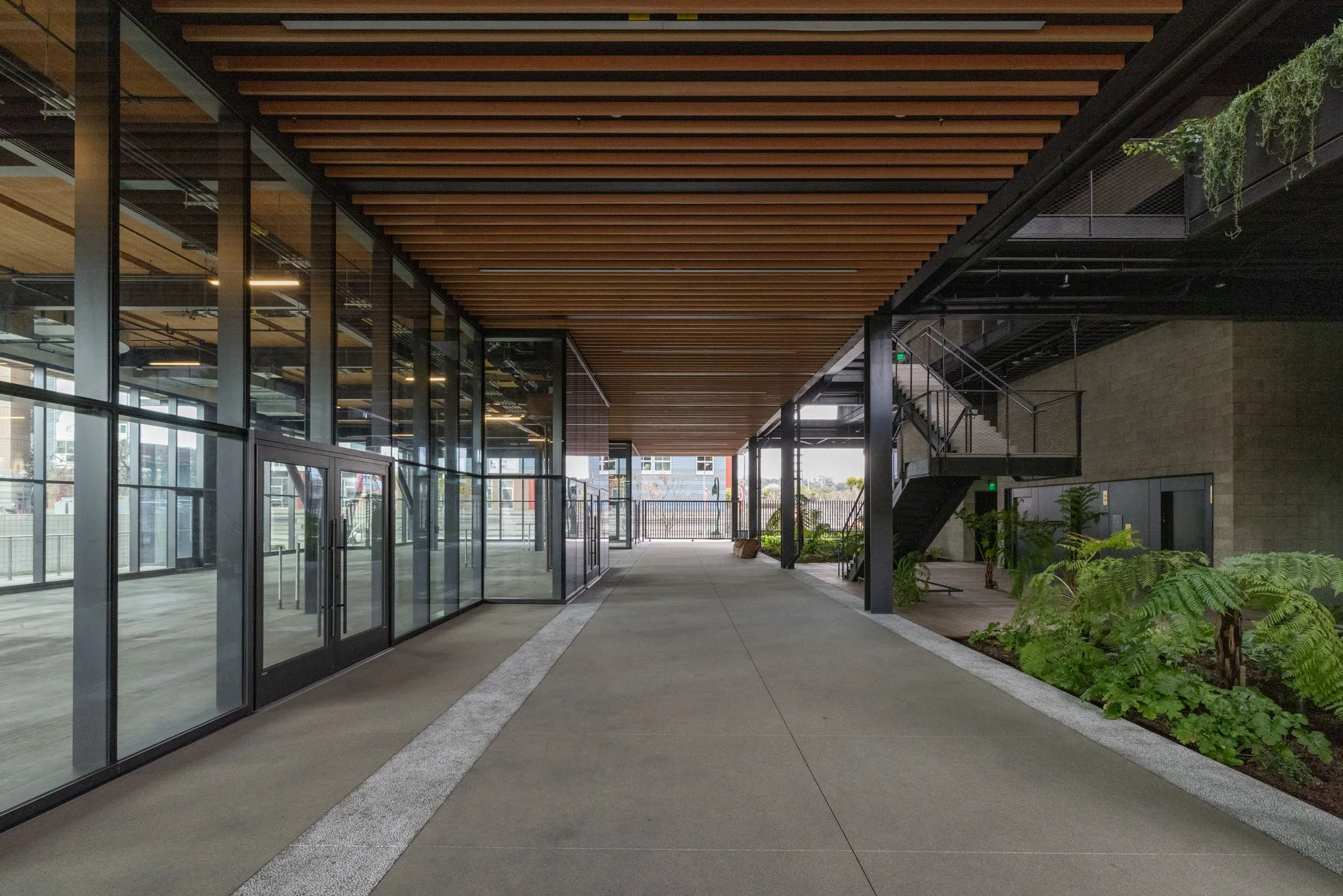 Modern indoor corridor with glass walls on the left, wood ceiling, and staircase on the right, with green plants along the side.