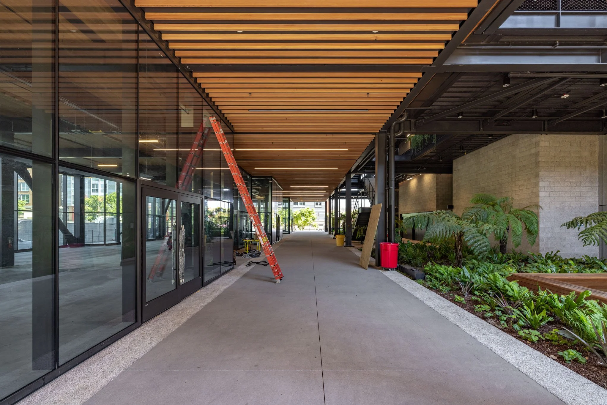 A modern indoor-outdoor corridor with glass walls, a wooden ceiling, and construction tools including a red ladder. there are plants along the right side and a red trash can. sunlight is visible at the far end.