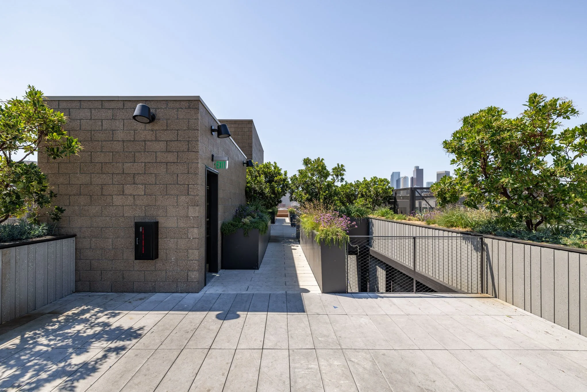 Rooftop terrace with potted plants and city skyline in the distance under clear blue sky.