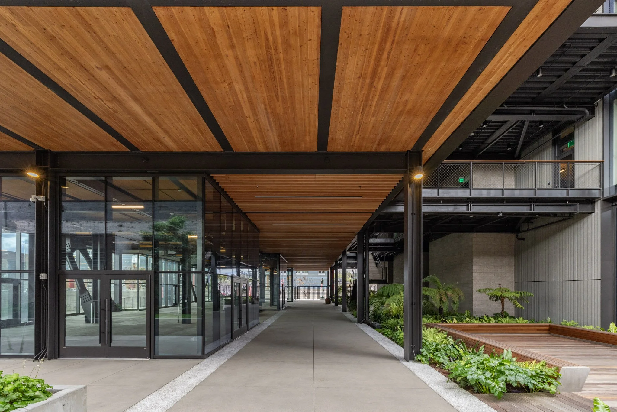 Modern building entrance with glass doors, wooden ceiling, and greenery on the side, leading to an outdoor corridor.