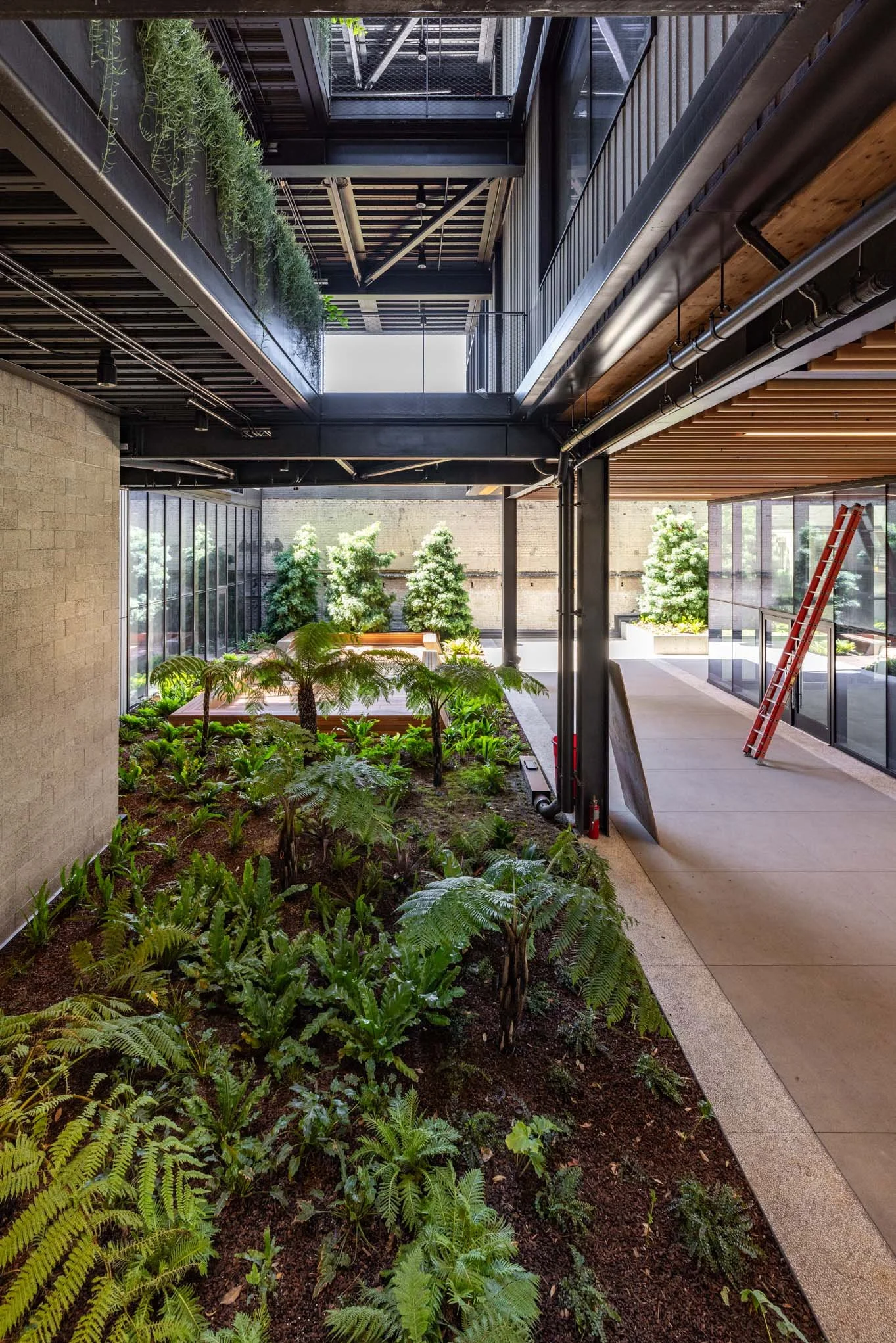 Interior of a modern building with an indoor garden, featuring a variety of green plants and trees, glass walls, and a concrete walkway, with a ladder leaning against the wall.