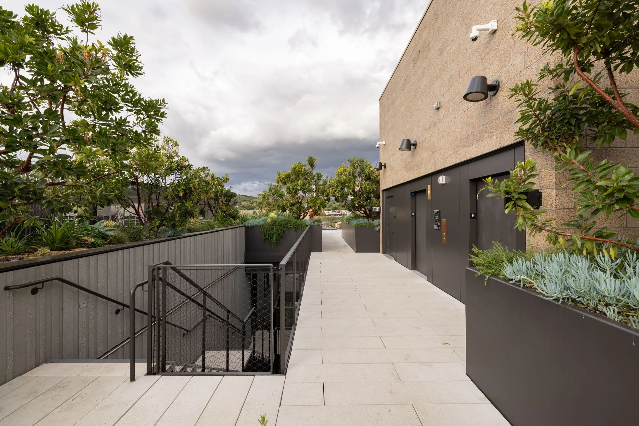 Outdoor rooftop corridor with elevator doors, potted plants, trees, and a cloudy sky.