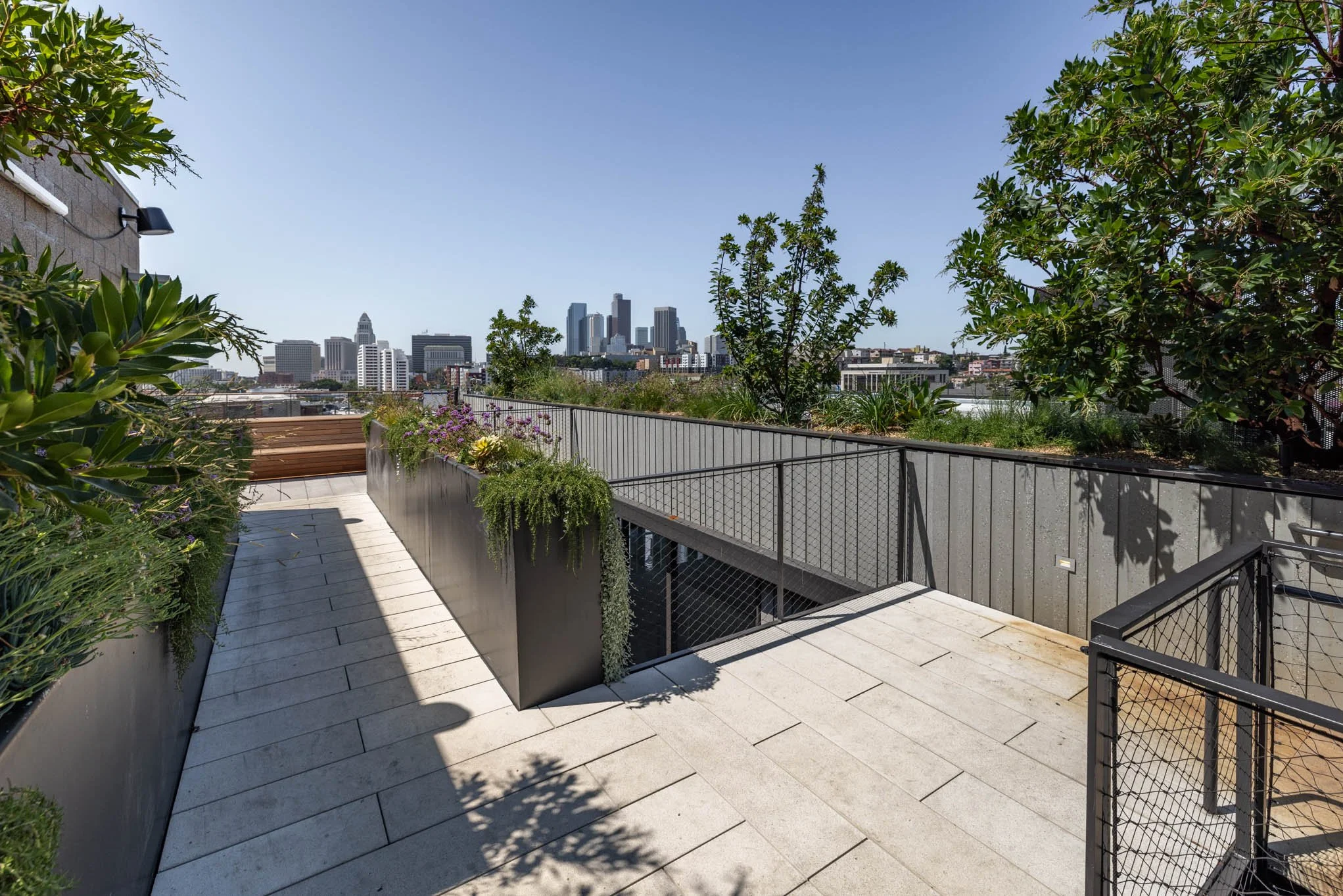 Rooftop terrace with plants, flower boxes, a wooden bench, and a view of a city skyline in the distance on a sunny day.