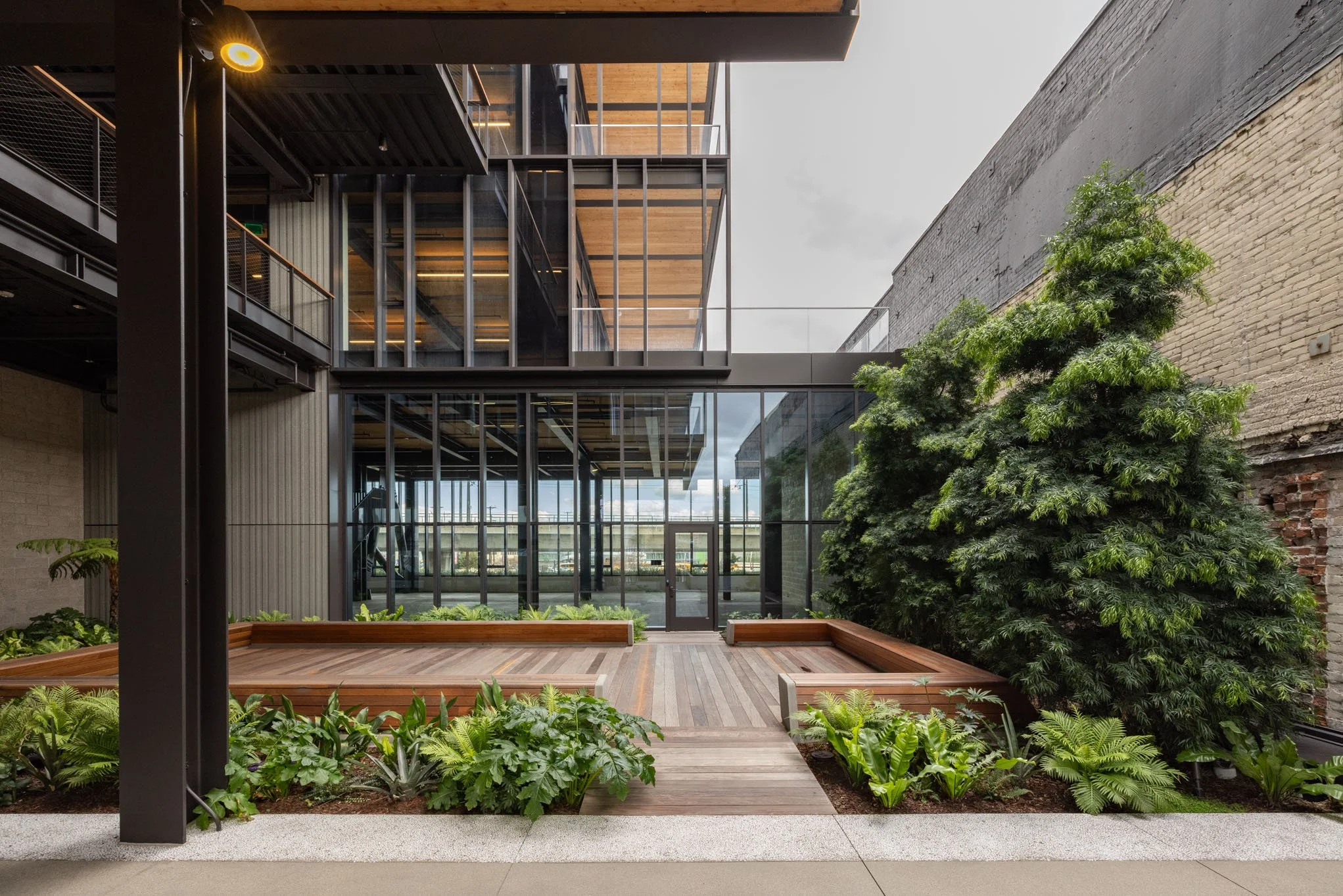 Modern outdoor courtyard with wooden walkways, green plants, large bushes, and glass building walls with metal framing.