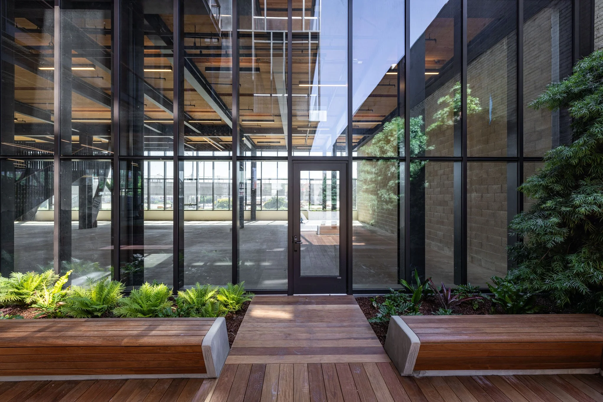 Modern glass-walled building entrance with wooden benches, green plants, and a paved walkway leading to a glass door.