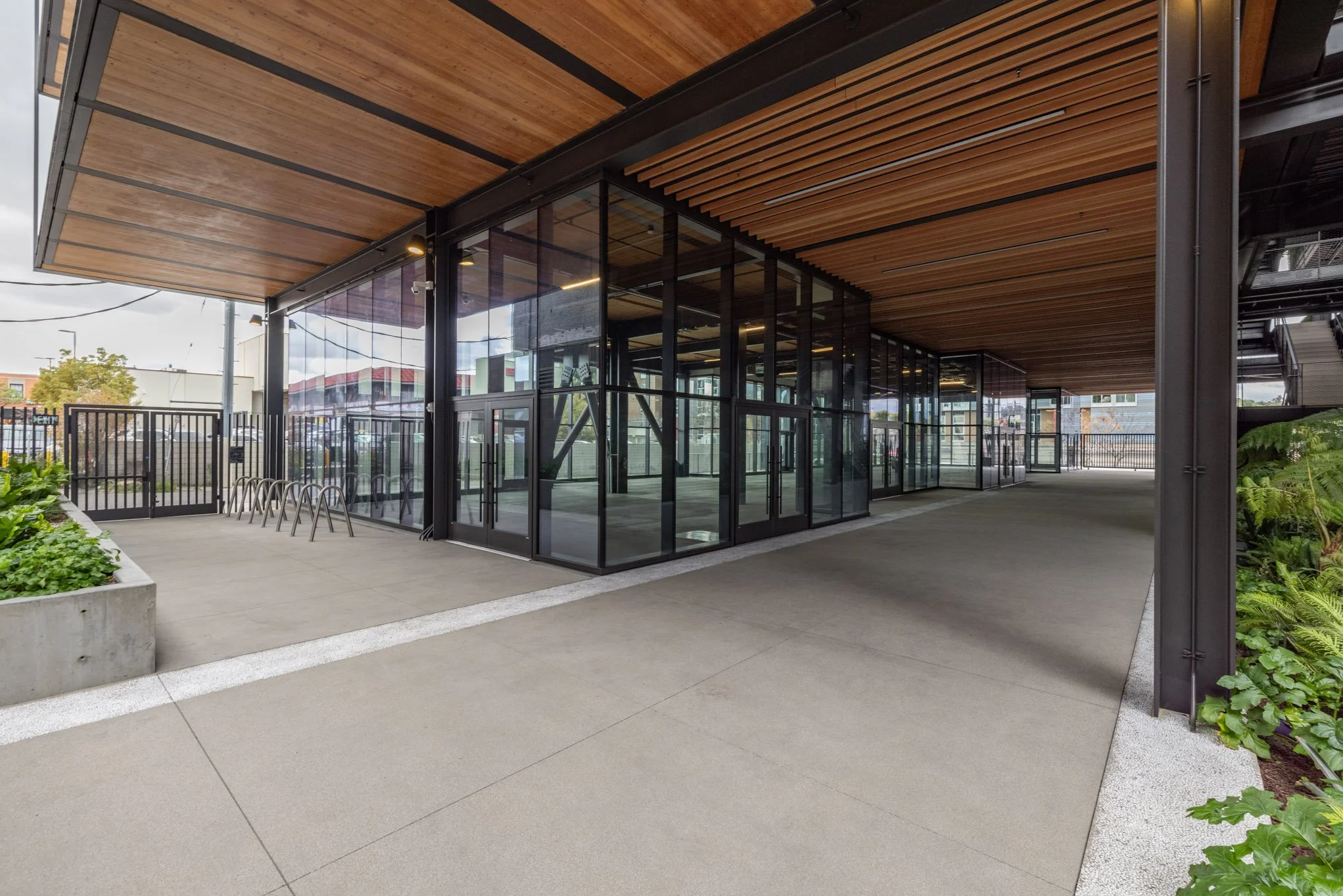 Modern building with glass walls, wooden ceiling, concrete sidewalk, and greenery outside.