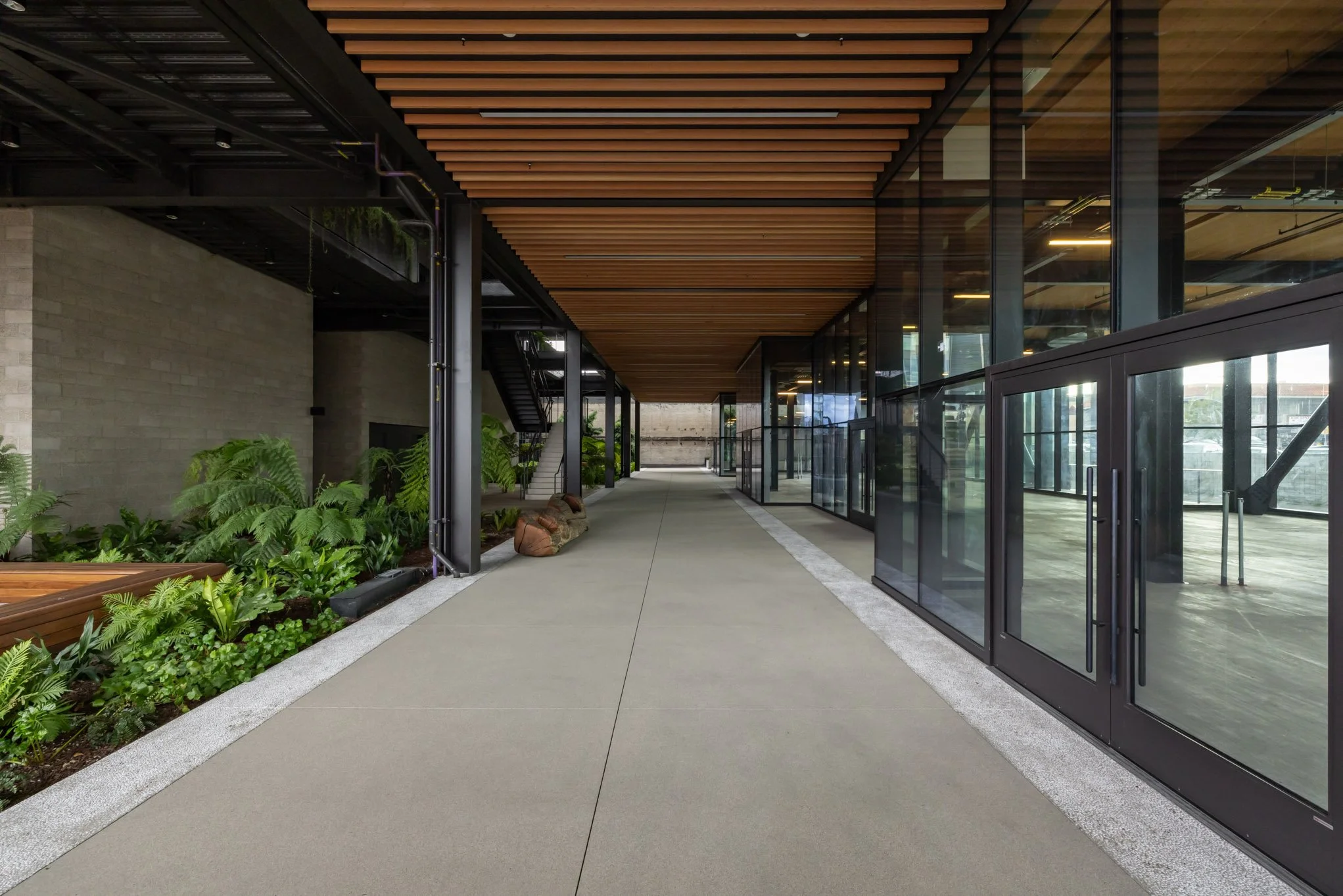 Modern indoor corridor with glass walls, wooden ceiling accents, green plants, and concrete flooring.