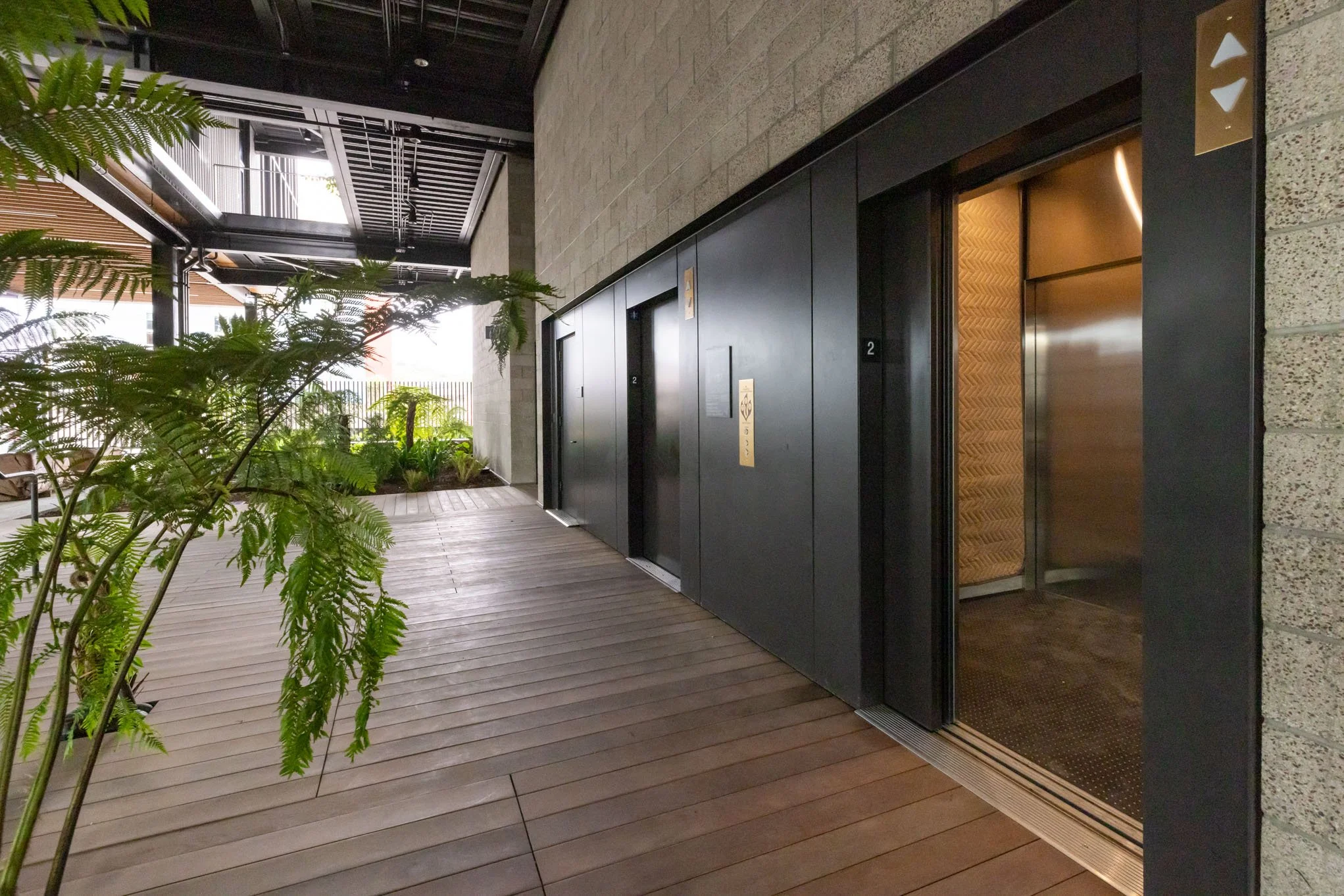 Elevators in a modern building lobby with wooden flooring, black walls, and green plants.