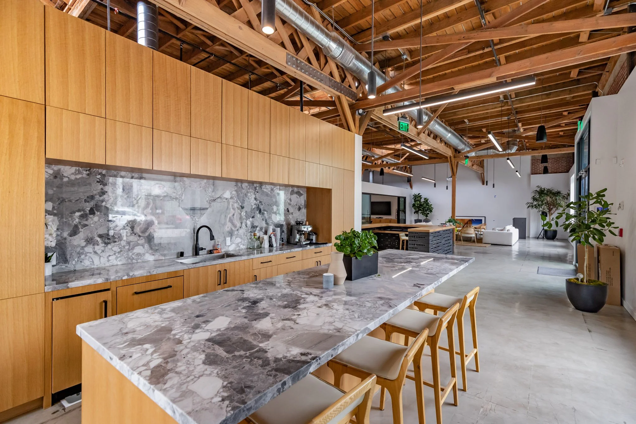 Modern open-concept kitchen and living space with wooden beams, marble countertops, and houseplants.