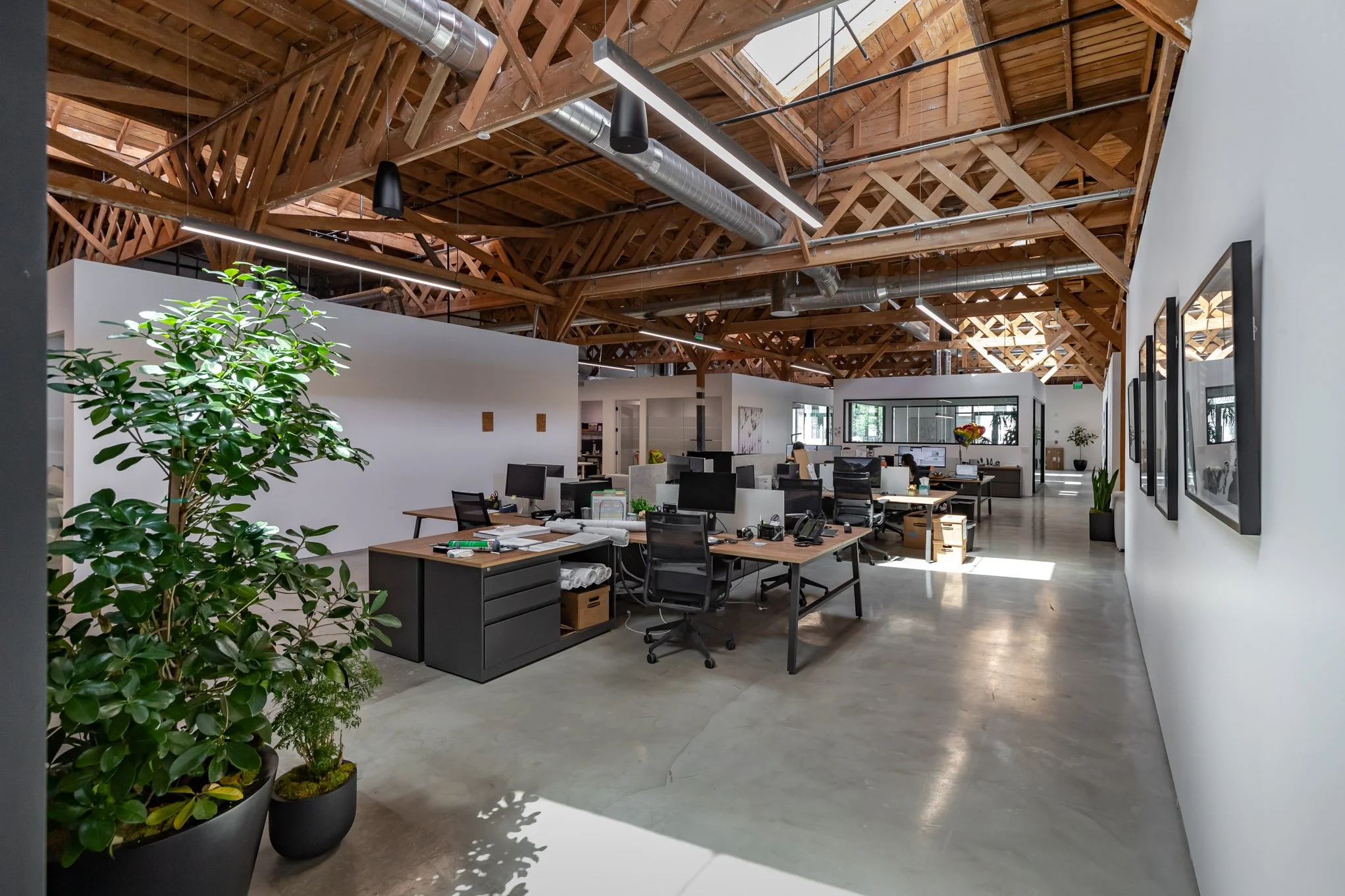 Open office space with multiple desks, black office chairs, several computer monitors, and potted plants. The ceiling features exposed wooden beams and ductwork, with natural light coming in from windows.