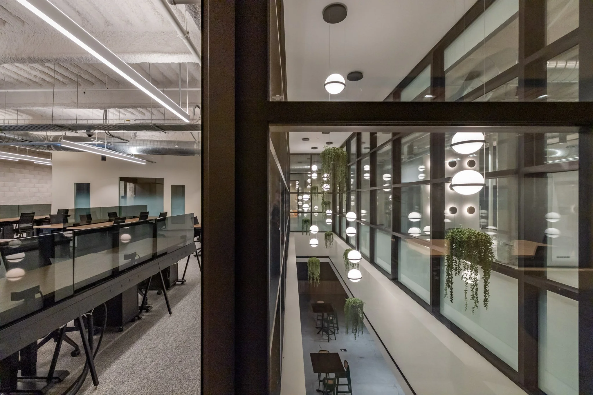 Interior view of an office space with modern lighting, glass windows, hanging plants, and a meeting area in the background.