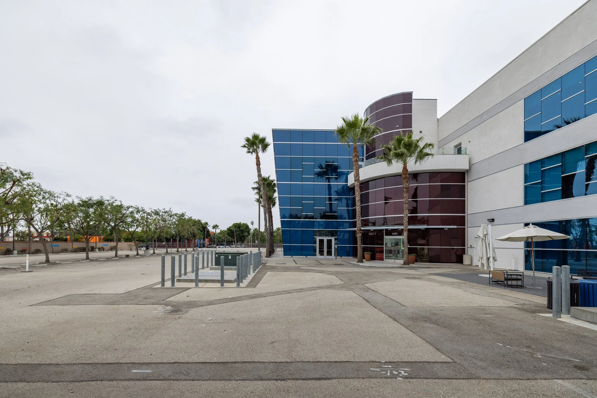 Empty parking lot in front of a modern building with blue and purple glass windows and palm trees.