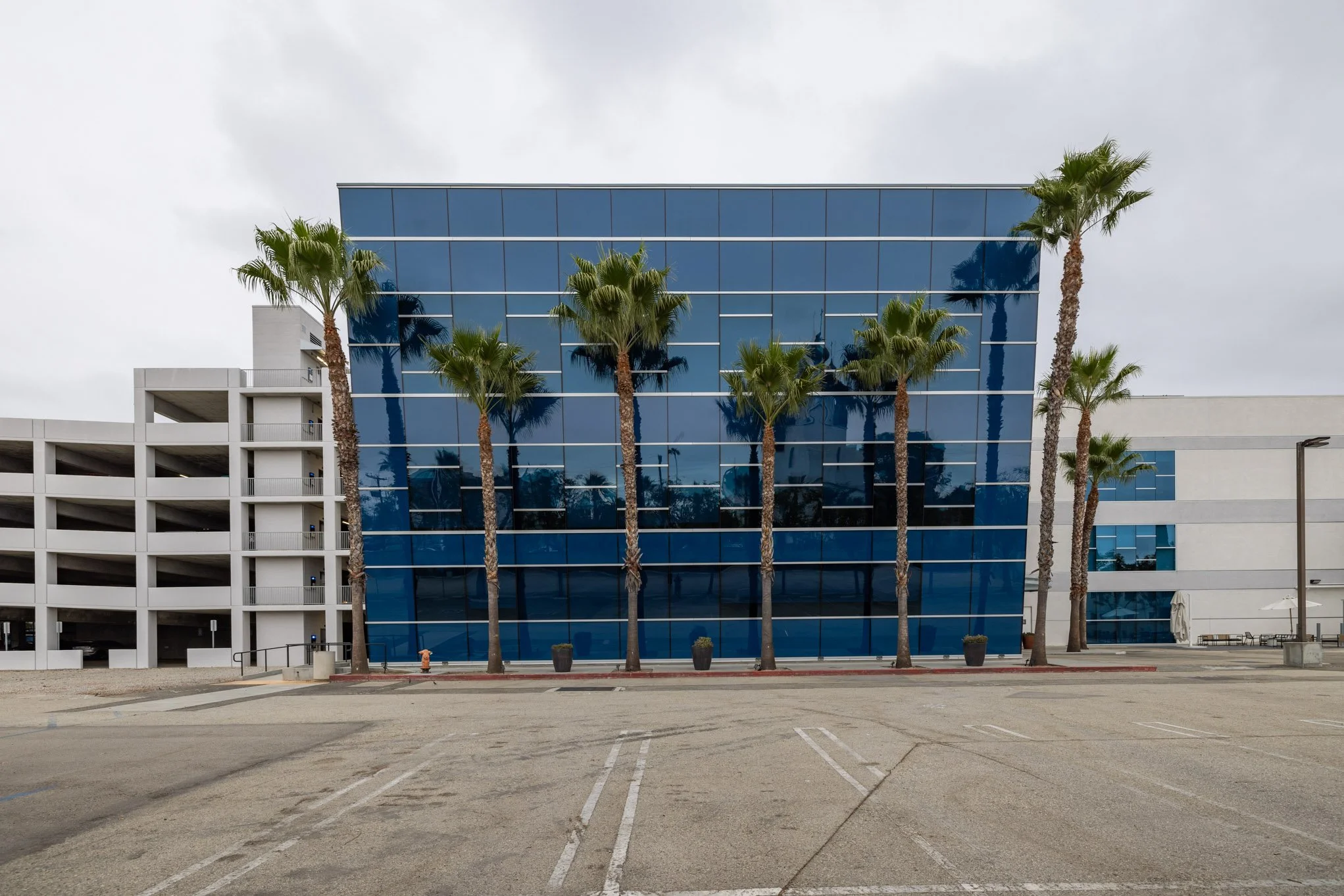 Modern building with blue reflective glass windows and seven tall palm trees in front, with an empty parking lot under a cloudy sky.