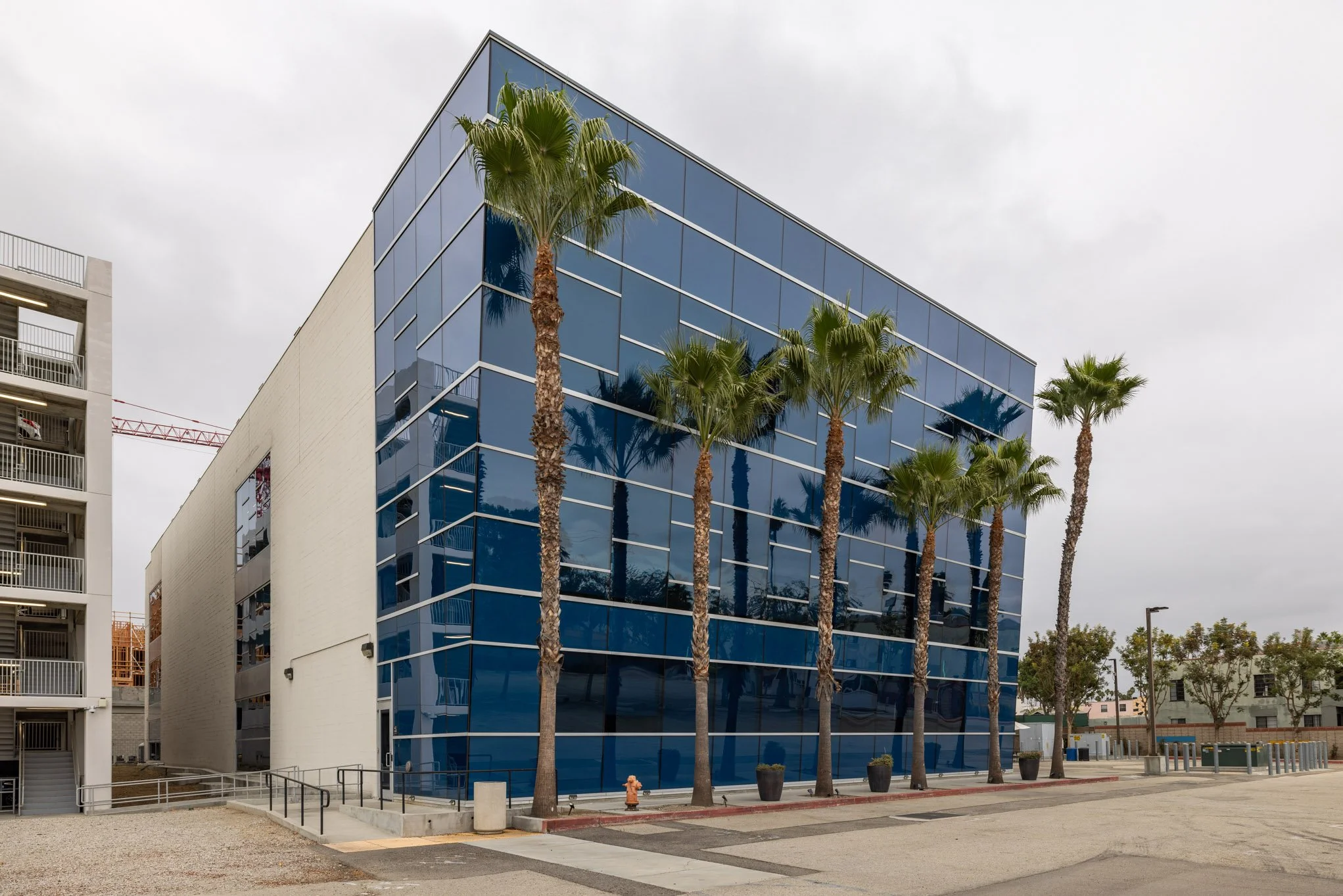 Modern glass building with reflective blue windows and tall palm trees in front, on a cloudy day.