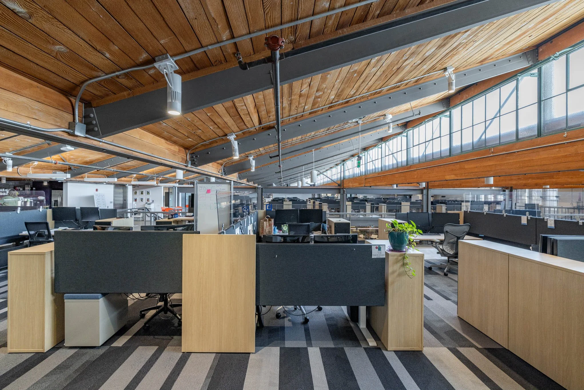 Modern open-plan office with desks, chairs, and a plant under a curved wooden ceiling and large windows.