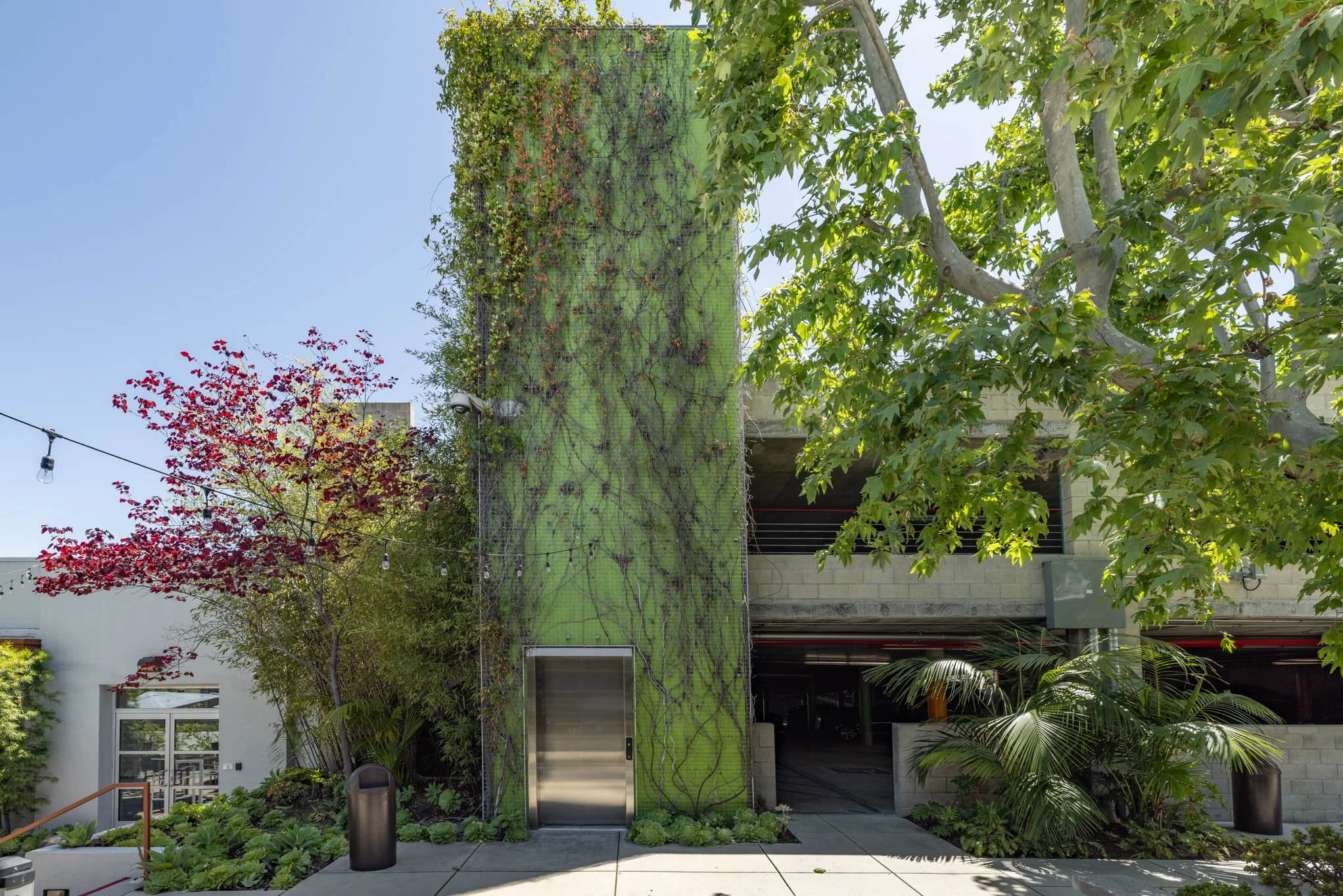 Building entrance with a green moss-covered wall, trees, plants, hanging string lights, and a sidewalk in an outdoor setting under a clear sky.