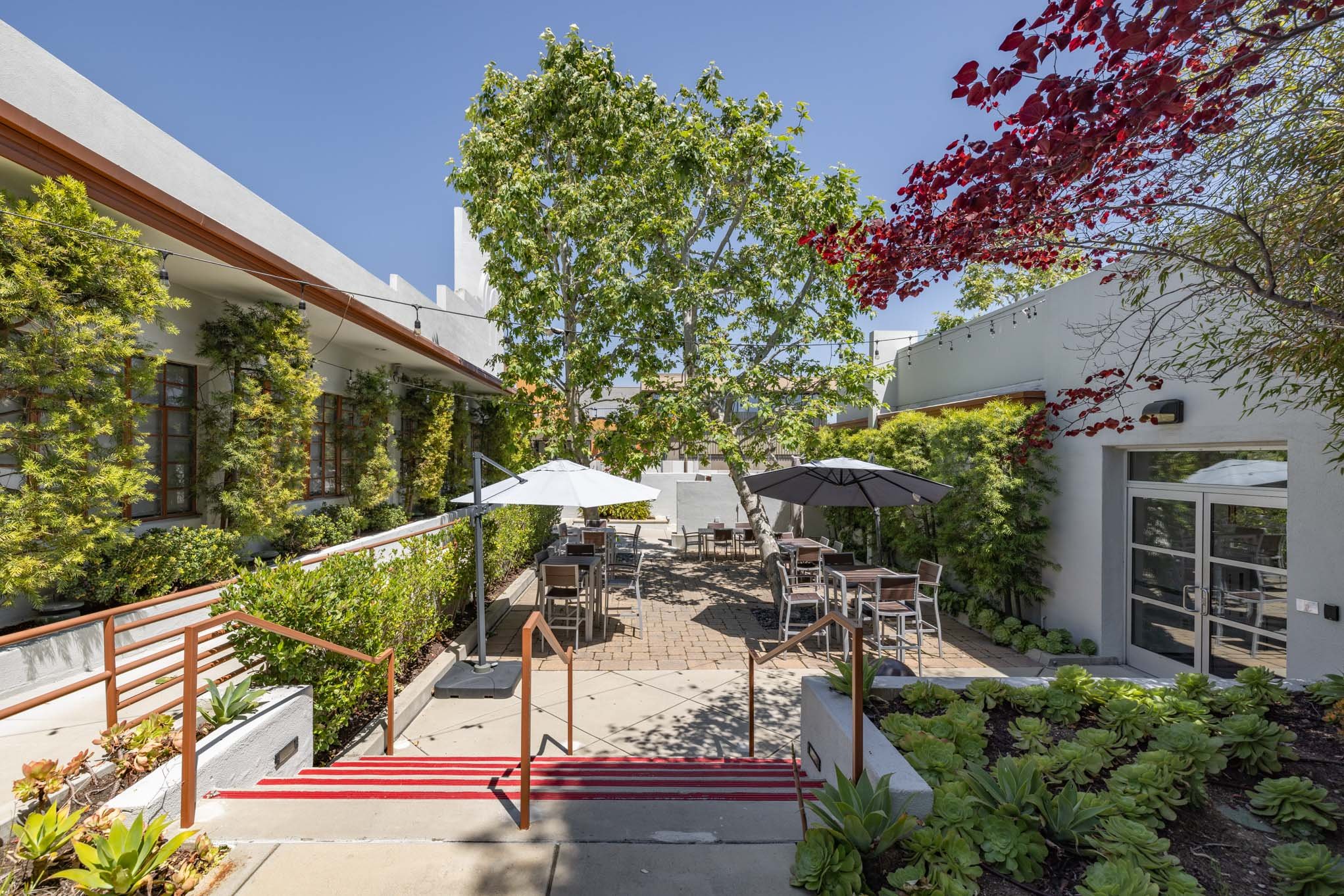 Outdoor patio area with tables, chairs, and umbrellas, surrounded by greenery including trees, plants, and bushes under a clear blue sky.
