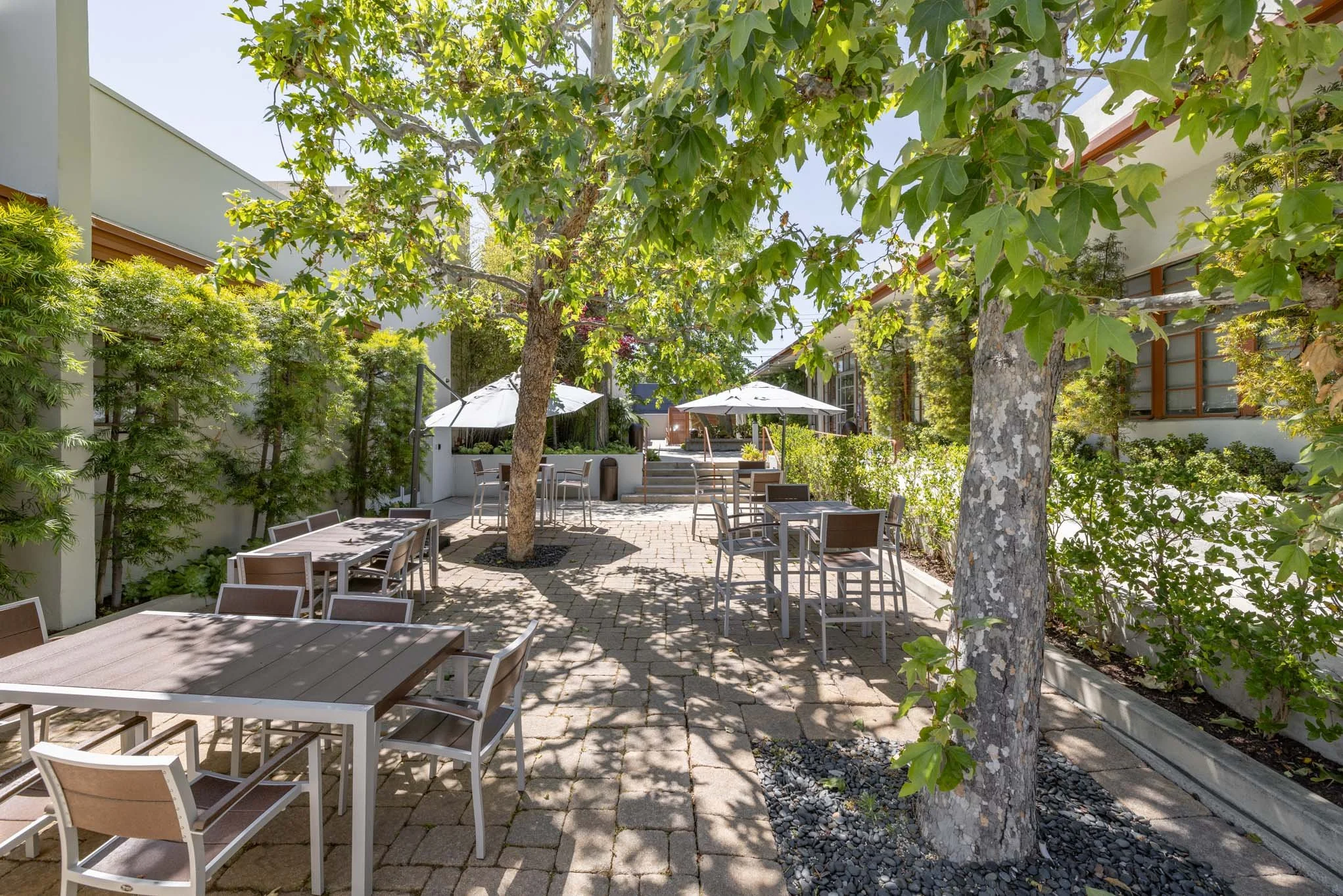 Outdoor patio with tables and chairs shaded by trees, with umbrellas and sunlight filtering through leaves.