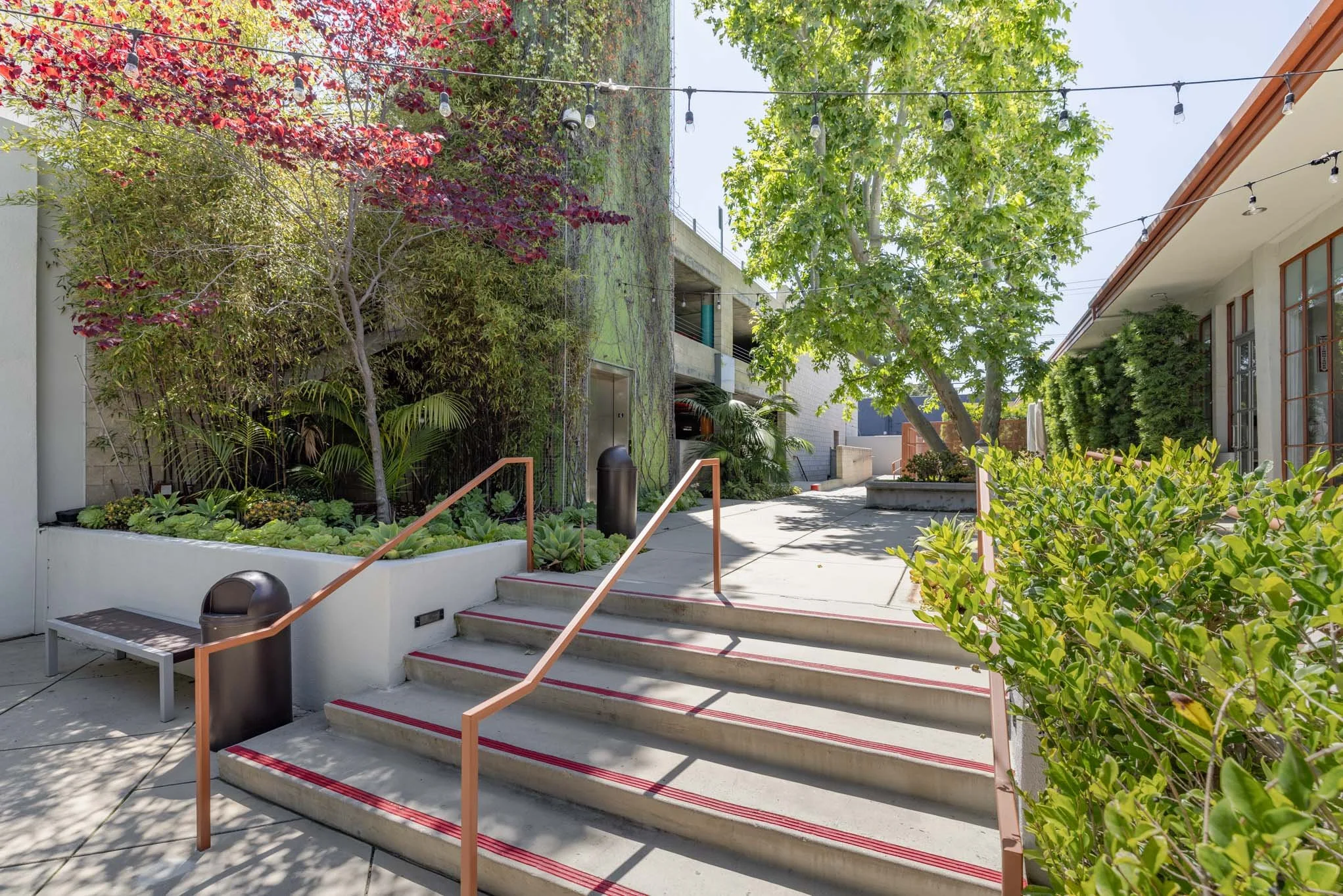 Outdoor area with stairs, plants, trees, string hanging lights, and adjacent buildings.