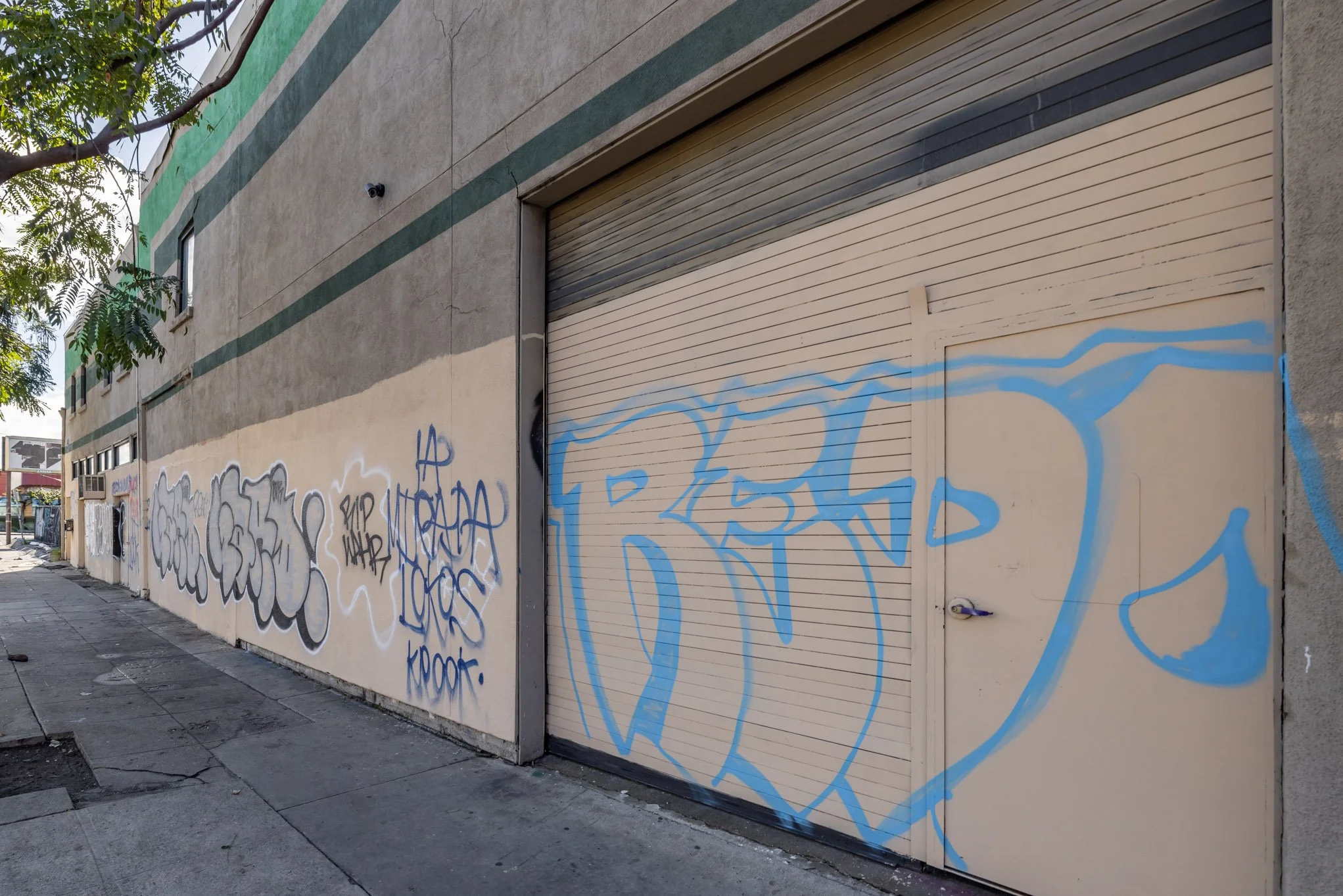 Graffiti on a beige wall and a garage door in an urban setting, with some trees and a sidewalk visible.