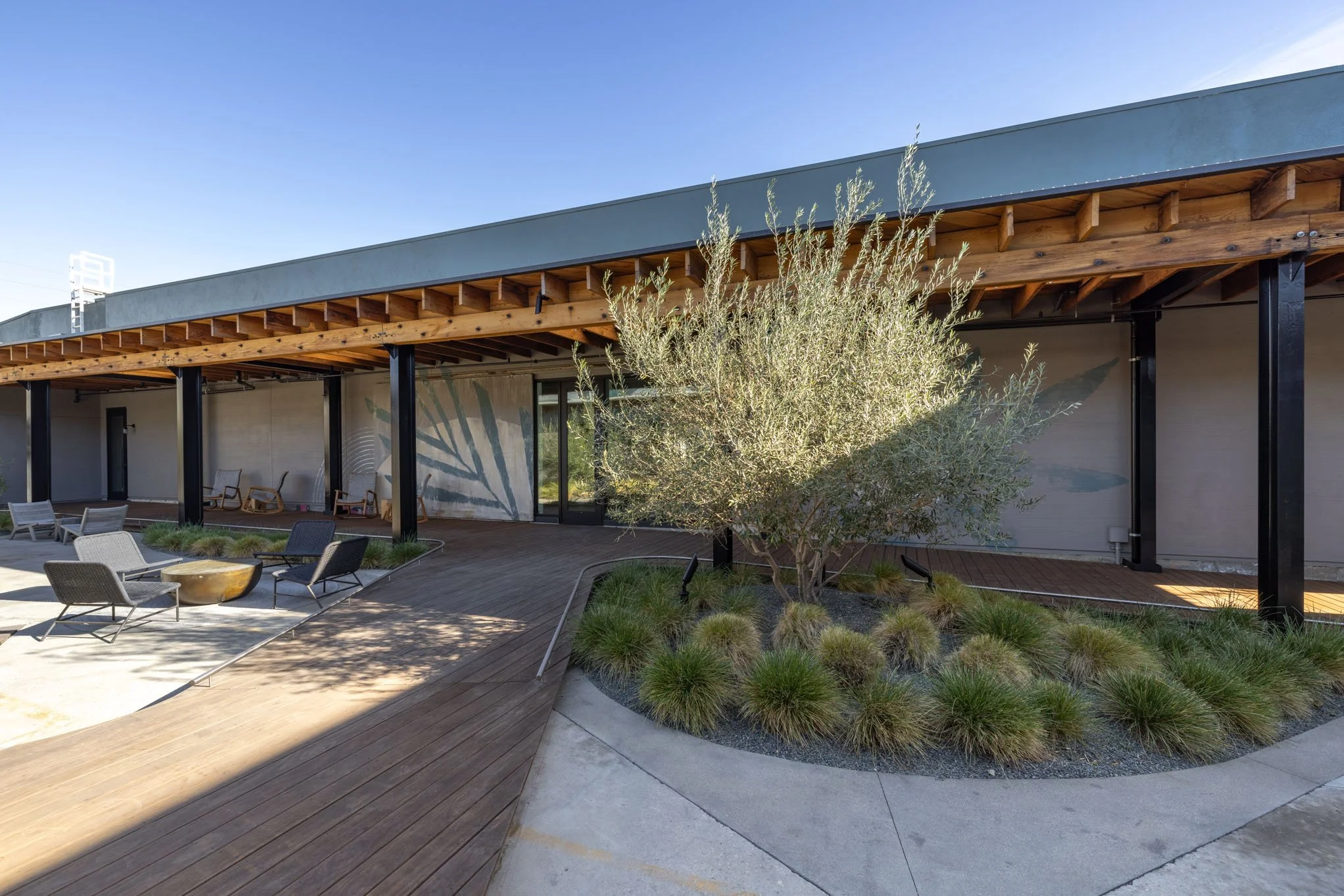 Outdoor patio area with chairs, a large shrub, and landscaped plants in front of a modern building with a wooden overhang.