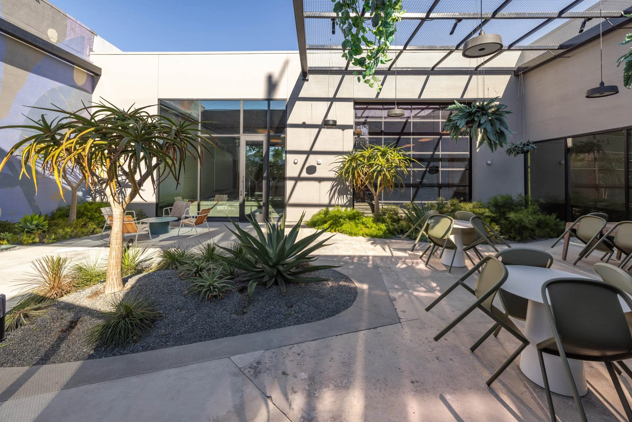 Outdoor patio with modern furniture and desert plants including trees and succulents, shaded by a pergola with hanging plants, adjacent to a building with large windows.