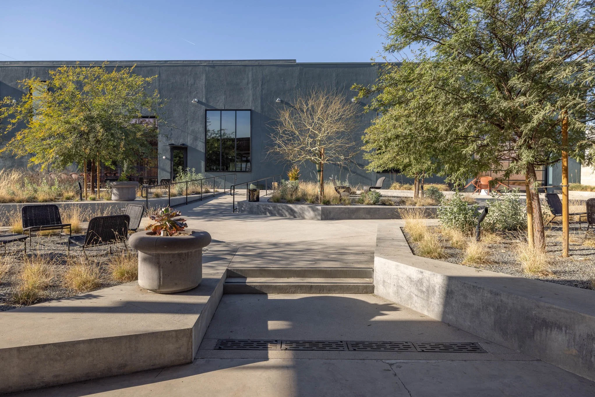 Urban outdoor space with concrete stairs, trees, benches, and a modern building in the background.