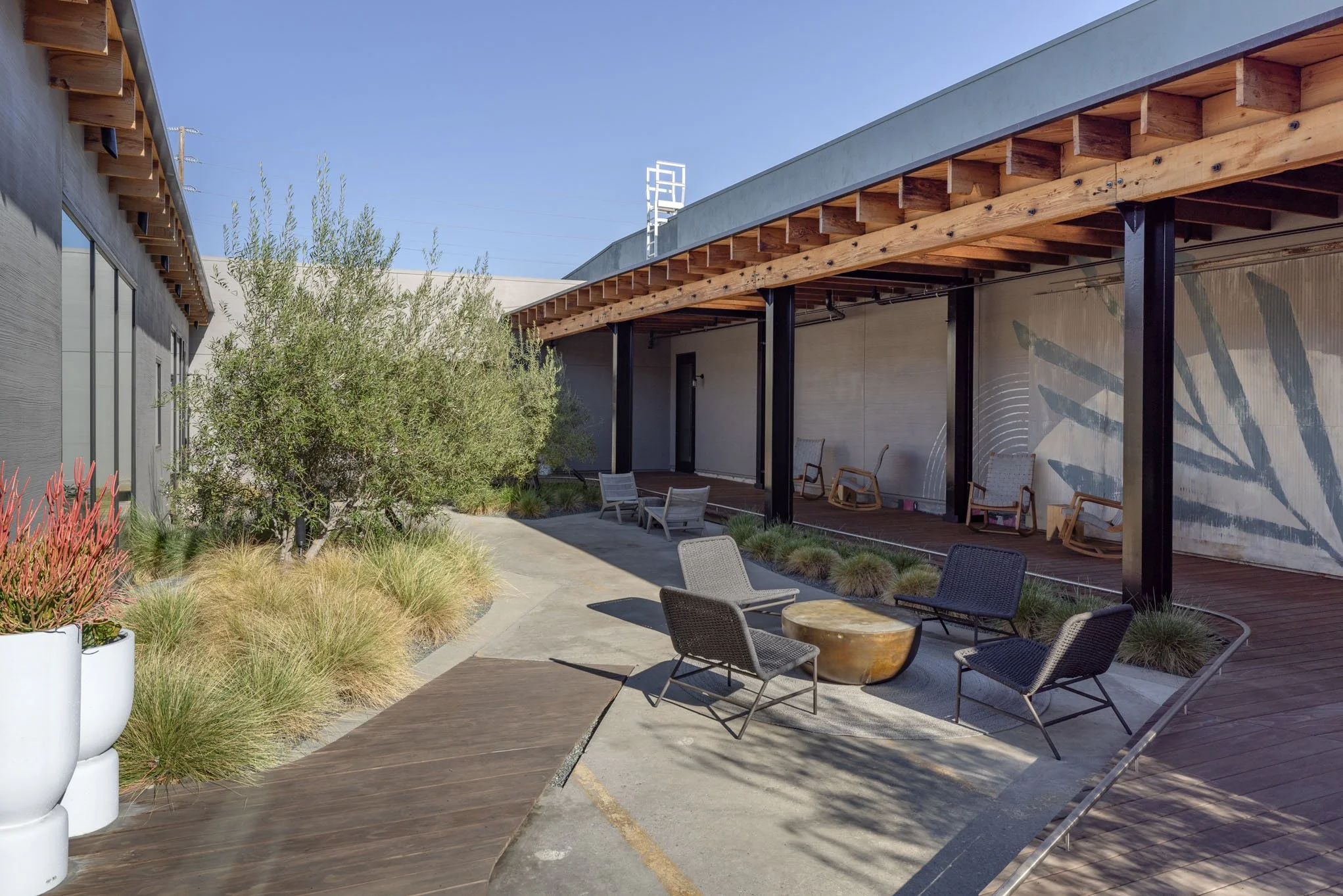Outdoor seating area with chairs and a wooden table, surrounded by desert plants and trees, under a covered patio with wooden beams, adjacent to a building with large windows.