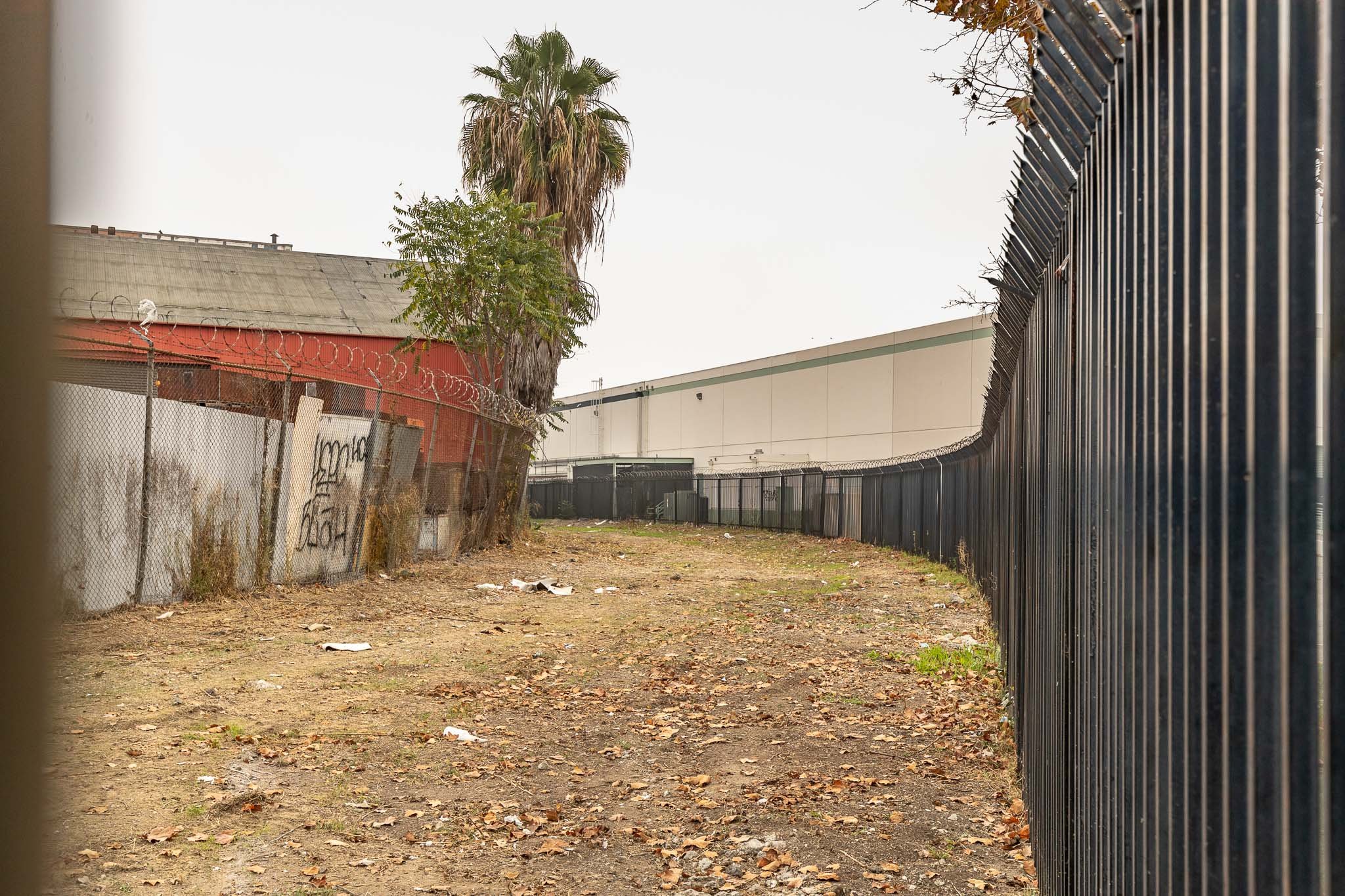 A dirt pathway enclosed by a tall black metal fence on the right and an old chain-link fence with barbed wire on the left. There is graffiti on a piece of metal on the left, some dry grass, and a tall palm tree in the background against a cloudy sky.