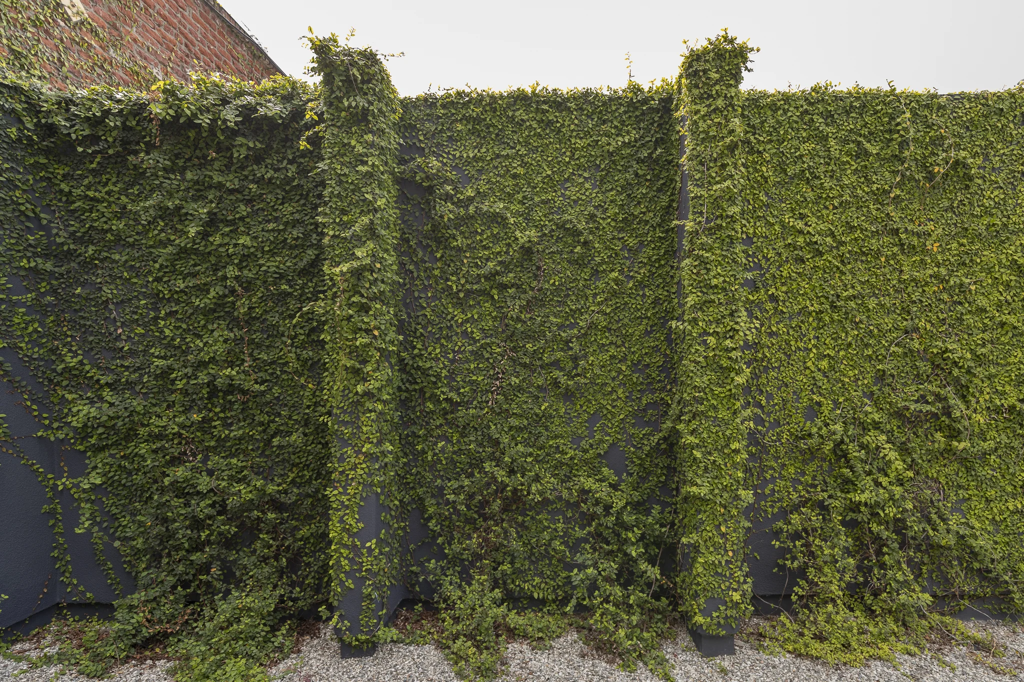 Showroom for Filming, Photoshoot &amp; Events in DTLA (Copy)