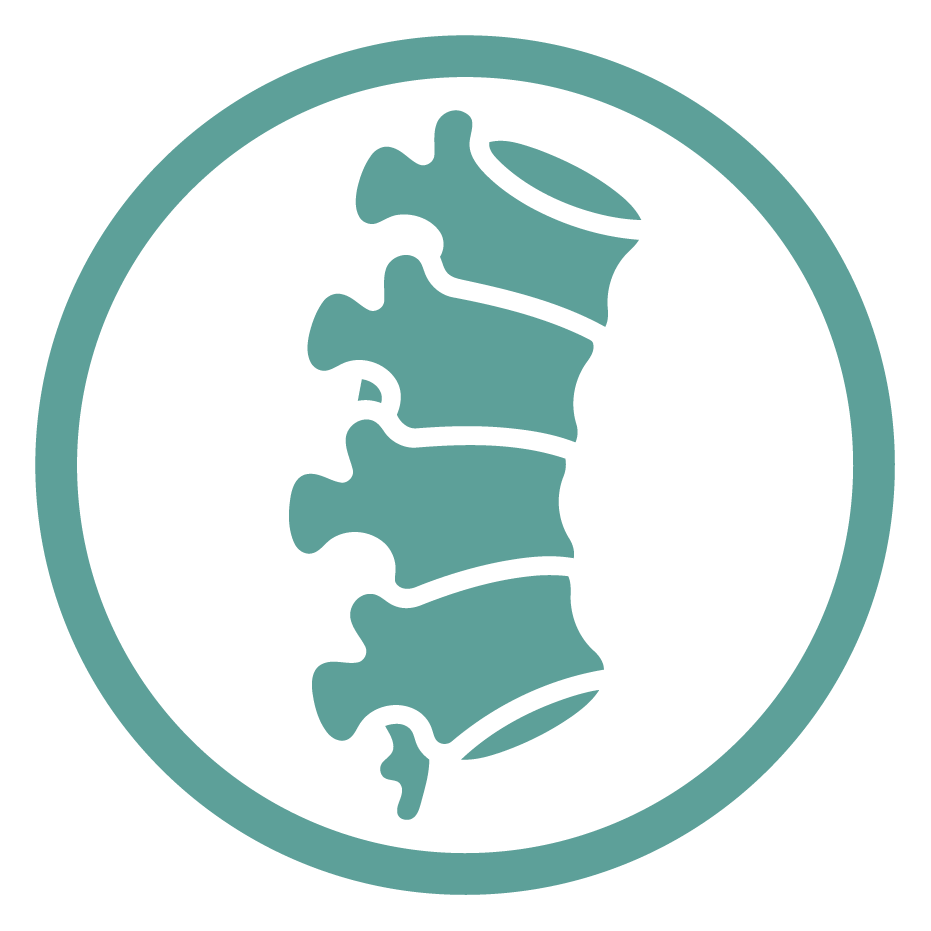 Stylized illustration of a section of the human spine inside a circular border.