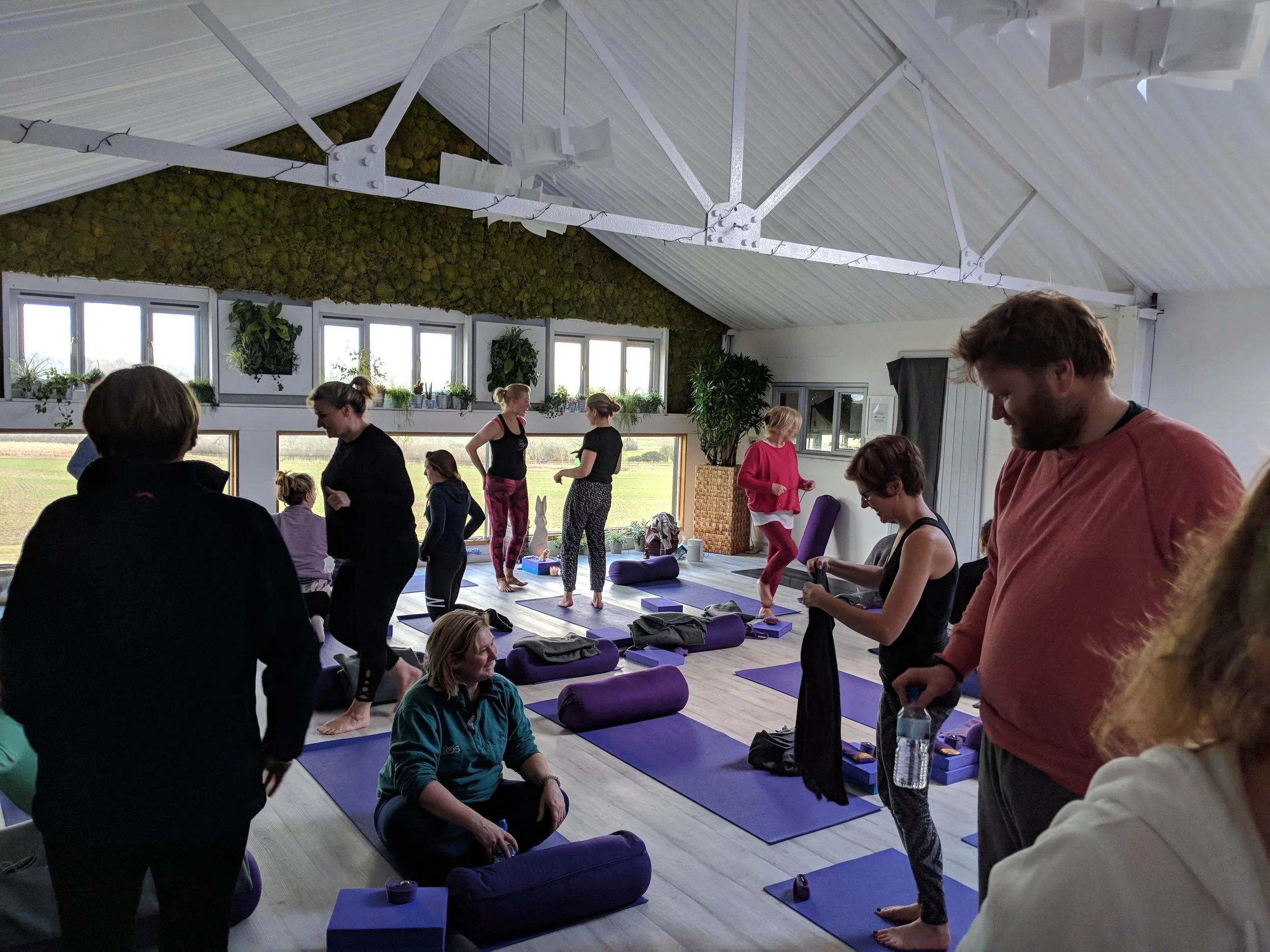 People participating in a yoga class inside a bright, spacious room with large windows and greenery outside.