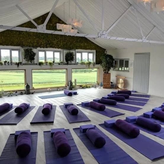 Yoga studio with purple mats and bolsters arranged in rows, large windows overlooking a green field, and a wall decorated with plants and natural light.