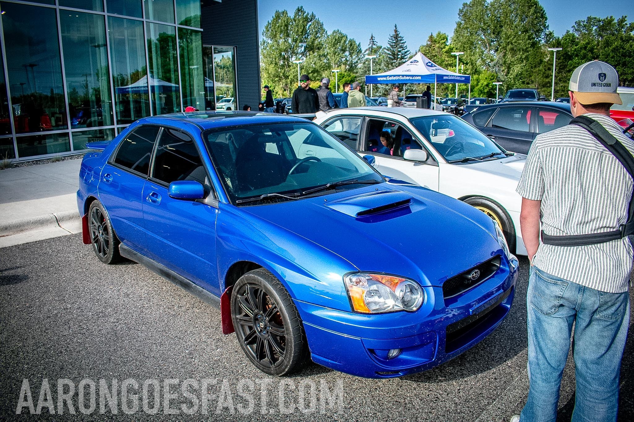 Blue Subaru WRX STI sedan with gold wheels at Ressler Cars & Coffee