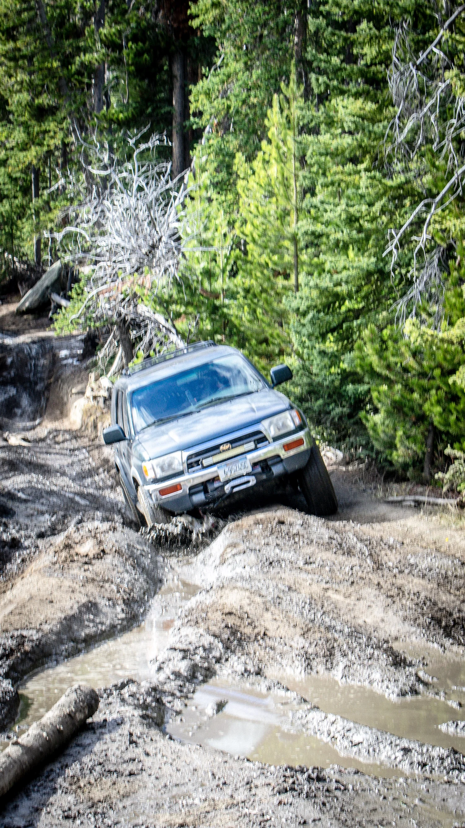 Vintage four-wheel-drive vehicles on a Montana trail