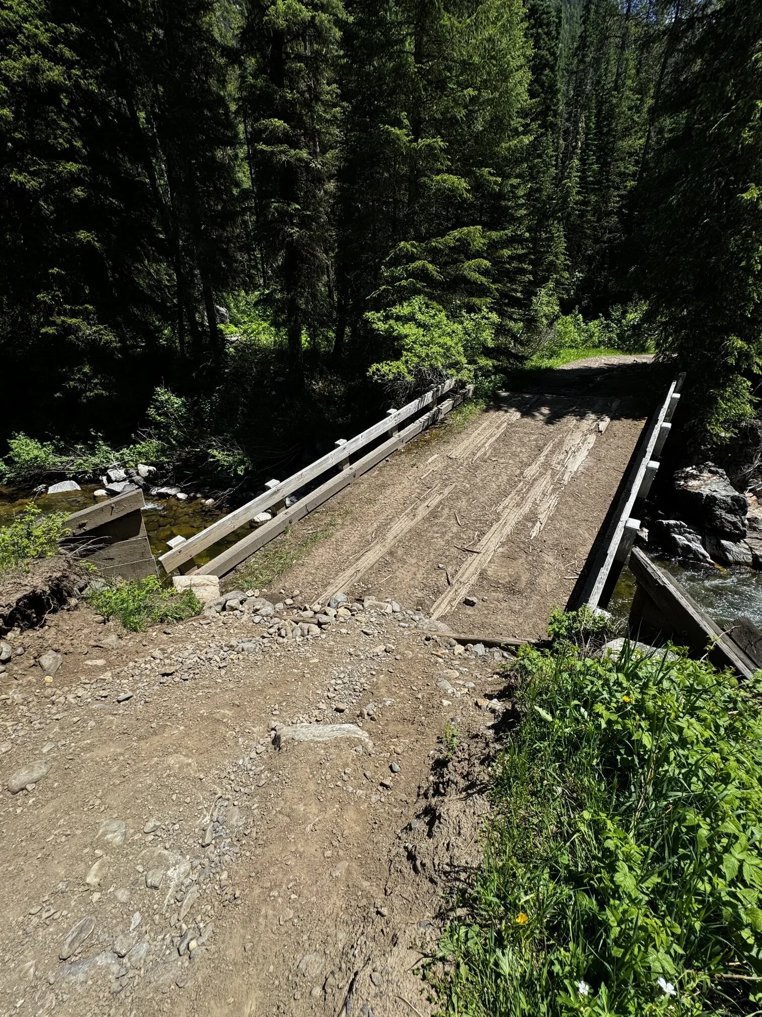 Wooden bridge on the Blue Lake Trail