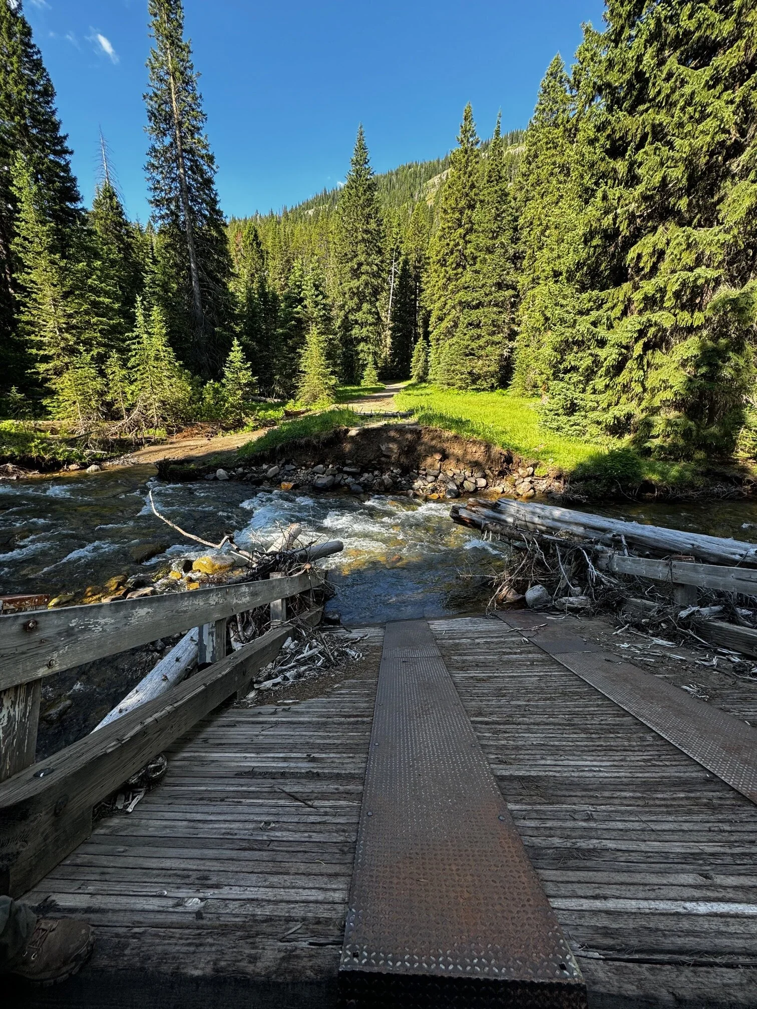 Old bridge over a creek on the Blue Lake Trail