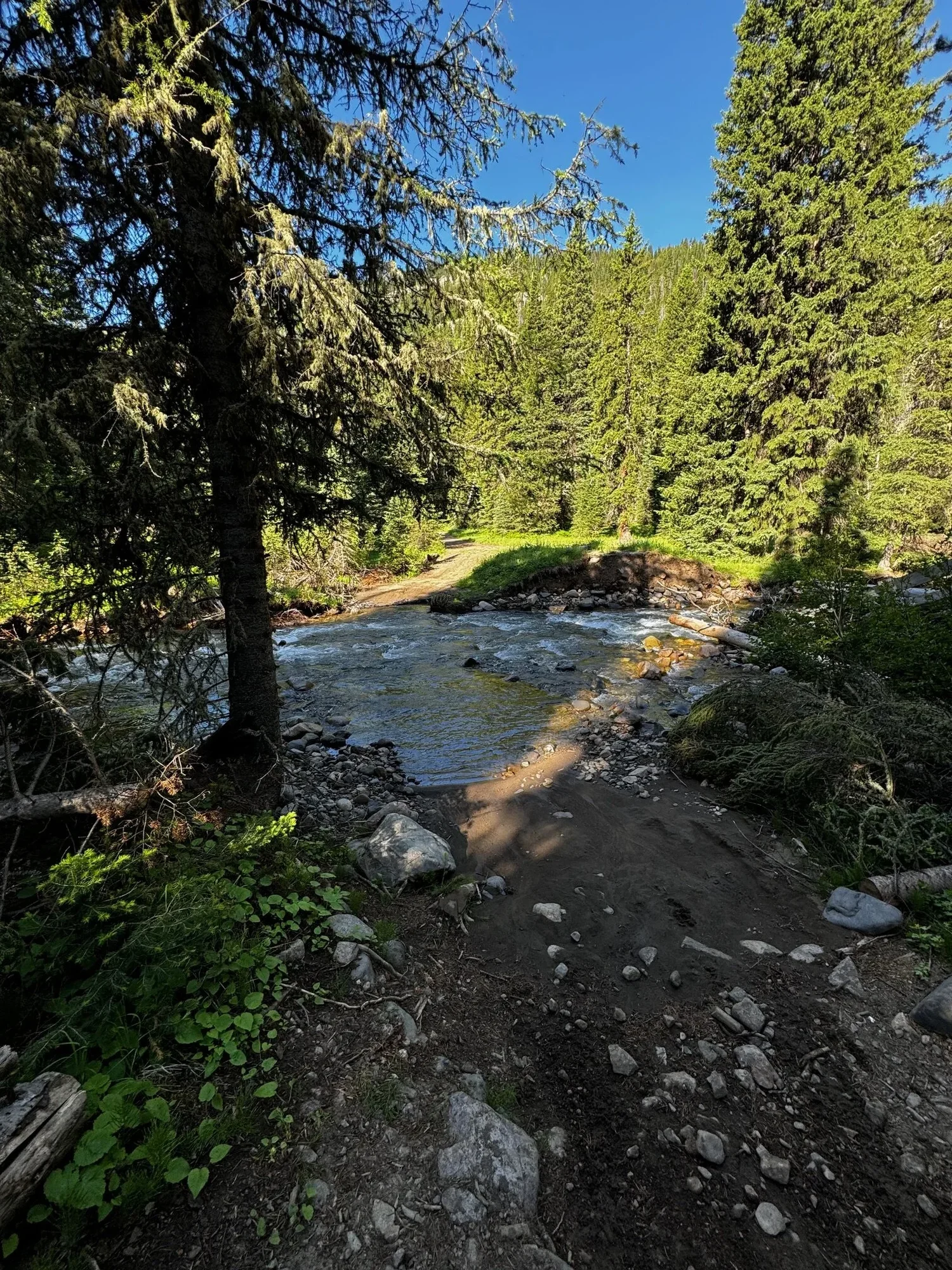 Shallow water crossing bypass on Main Boulder Road near Box Canyon