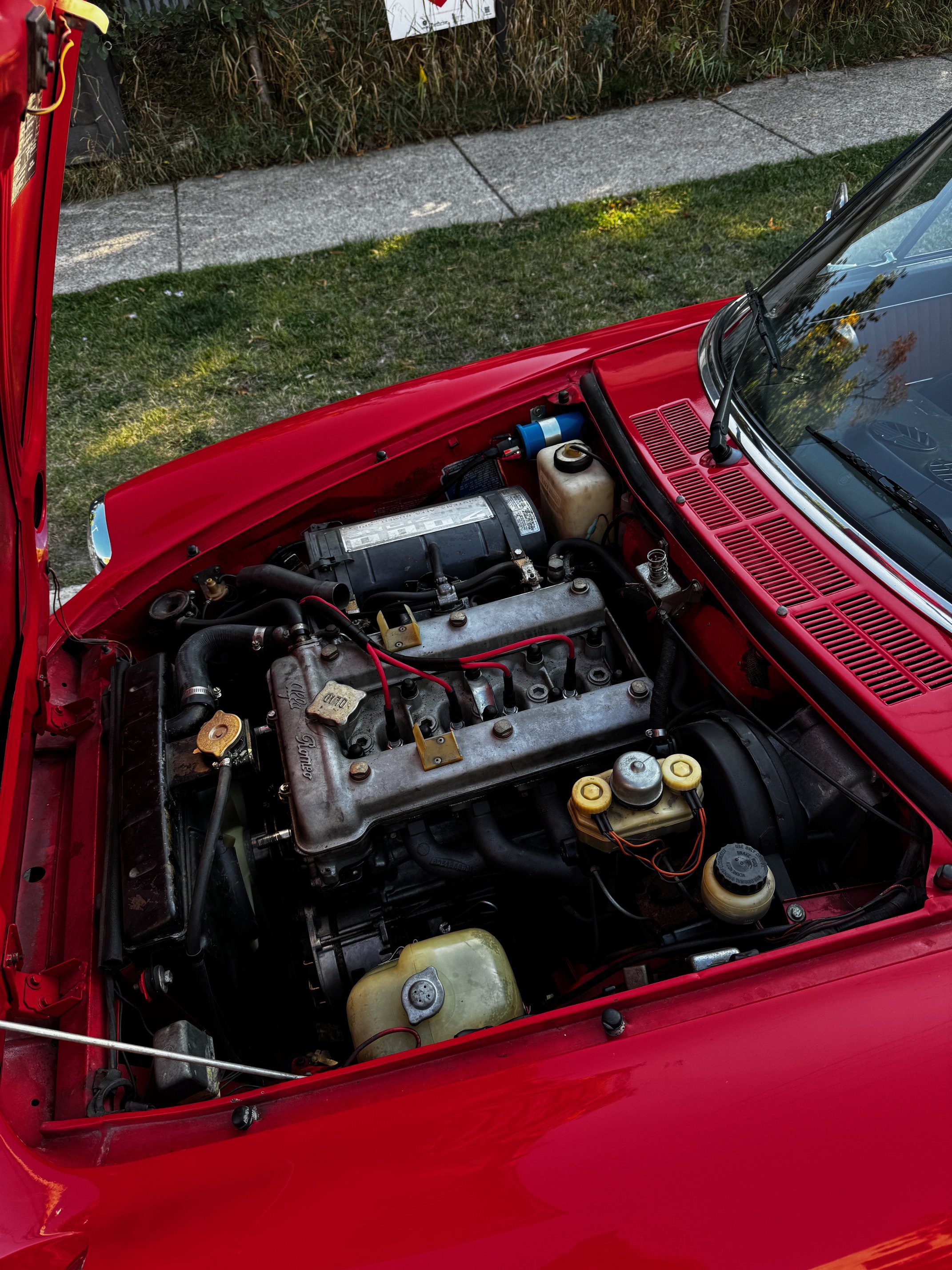 Engine bay of a red 1977 Alfa Romeo Spider