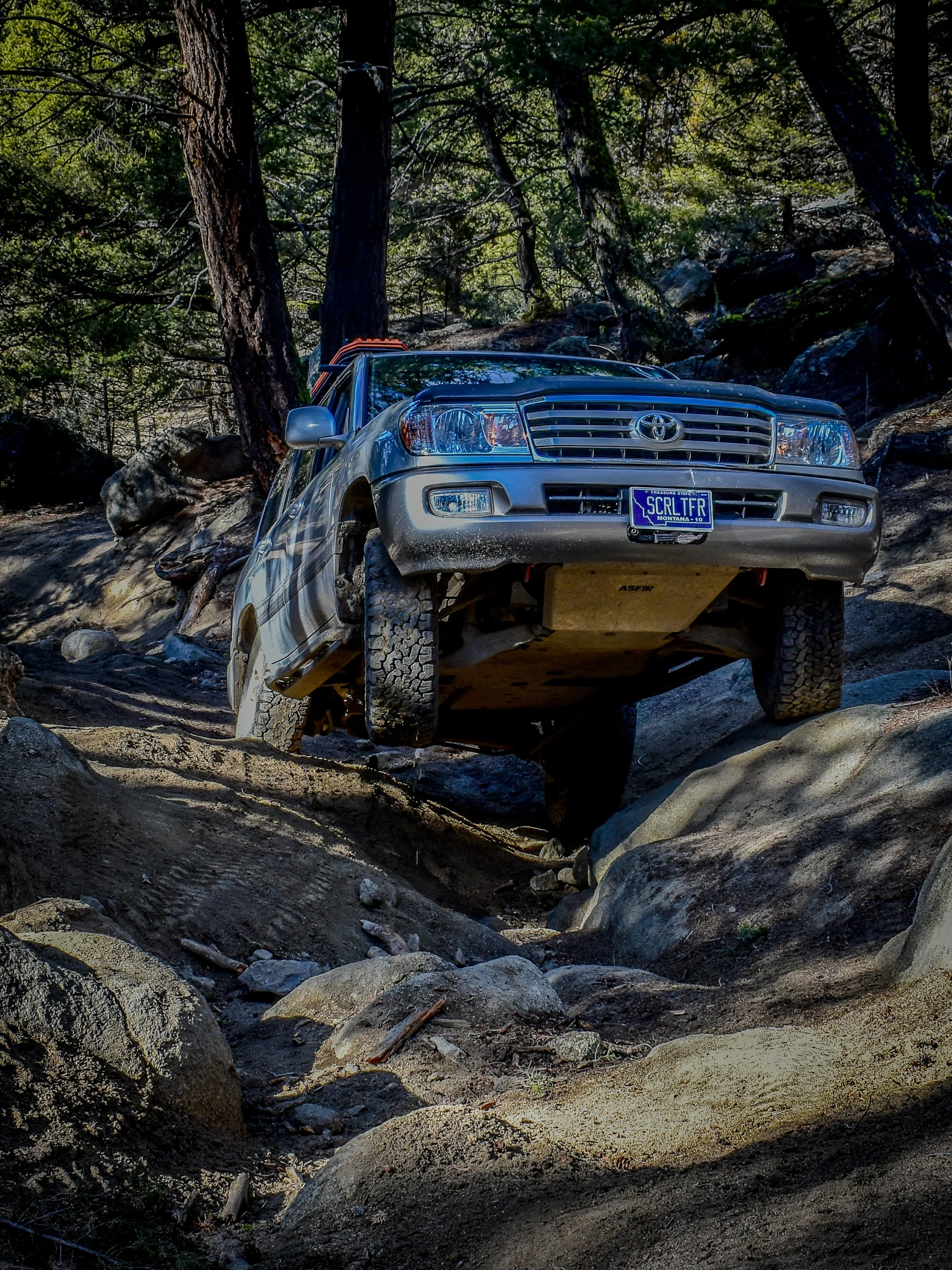 TERMINATOR X AND THE BOBSLED RUN: PIPESTONE CHAOS