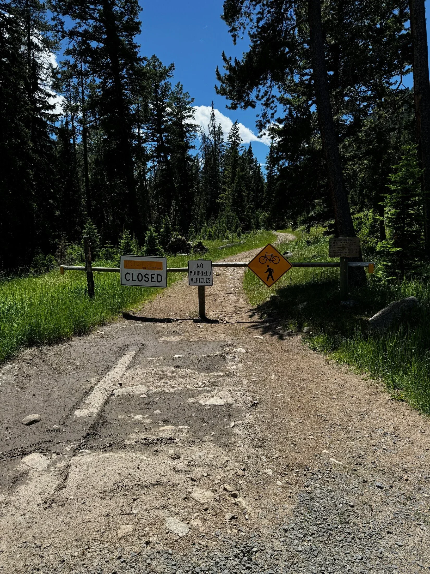 A Bypass For Blue Lake, And Morrison's Back.