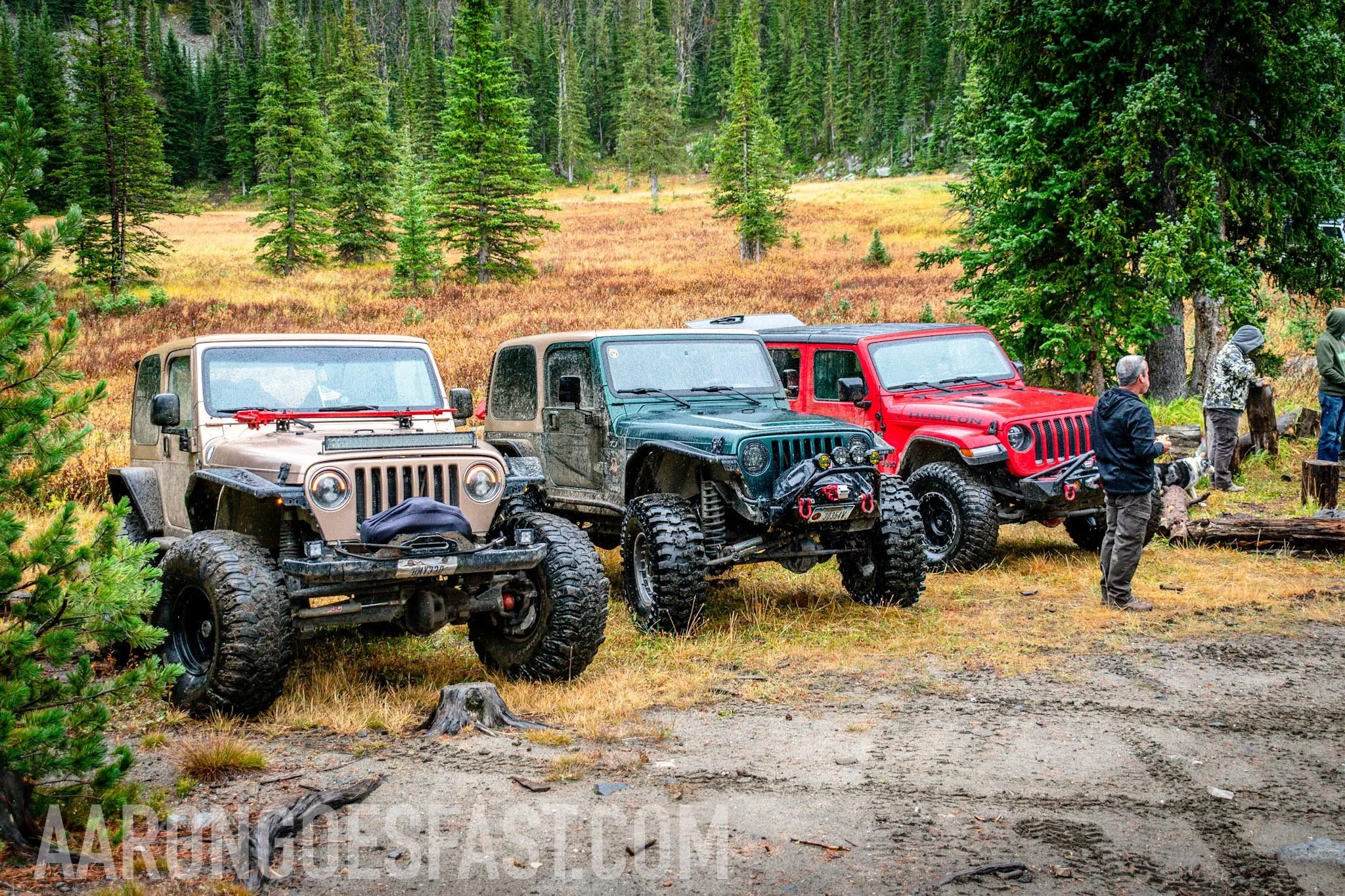 Jeeps at the No-Tell Motel